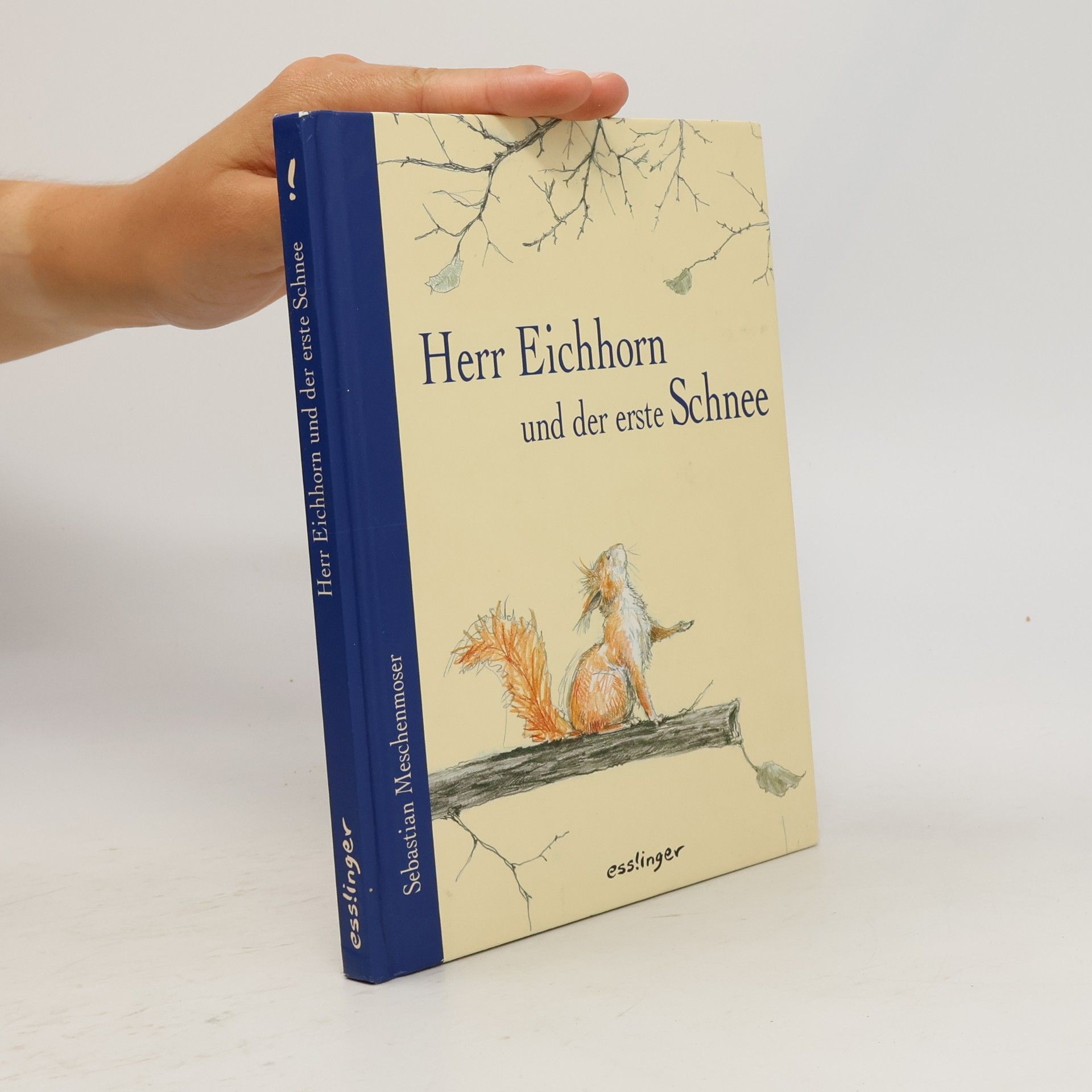 Sebastian Meschenmoser Herr Eichhorn und der erste Schnee