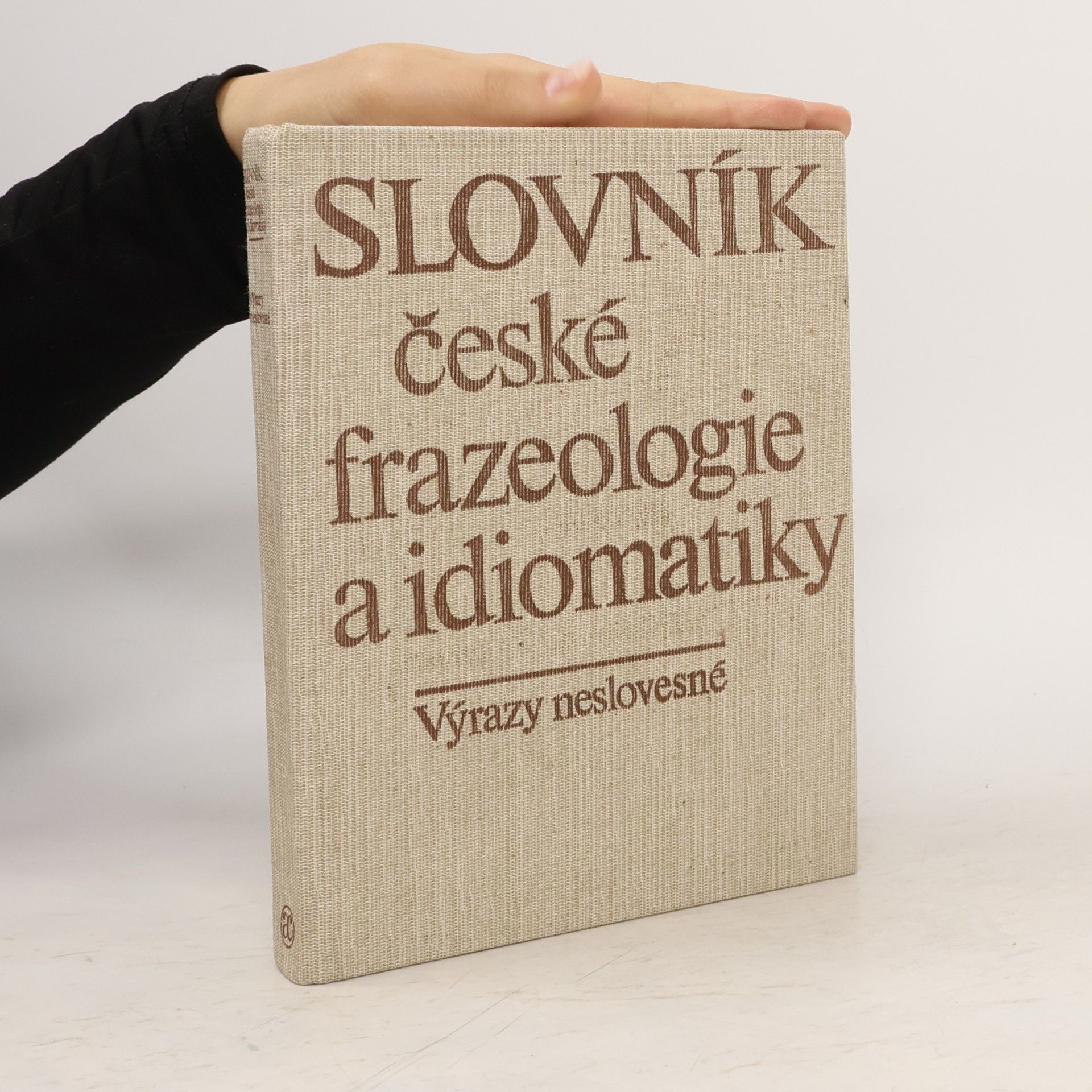 Slovník české frazeologie a idiomatiky. Výrazy neslovesné