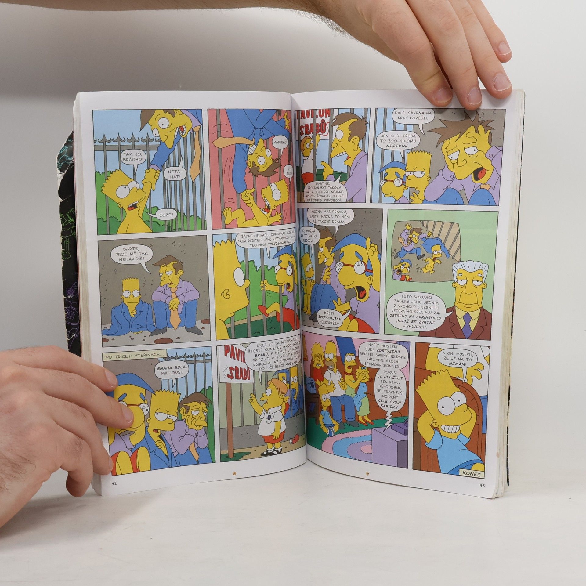 Matt Groening Velká kniha Barta Simpsona