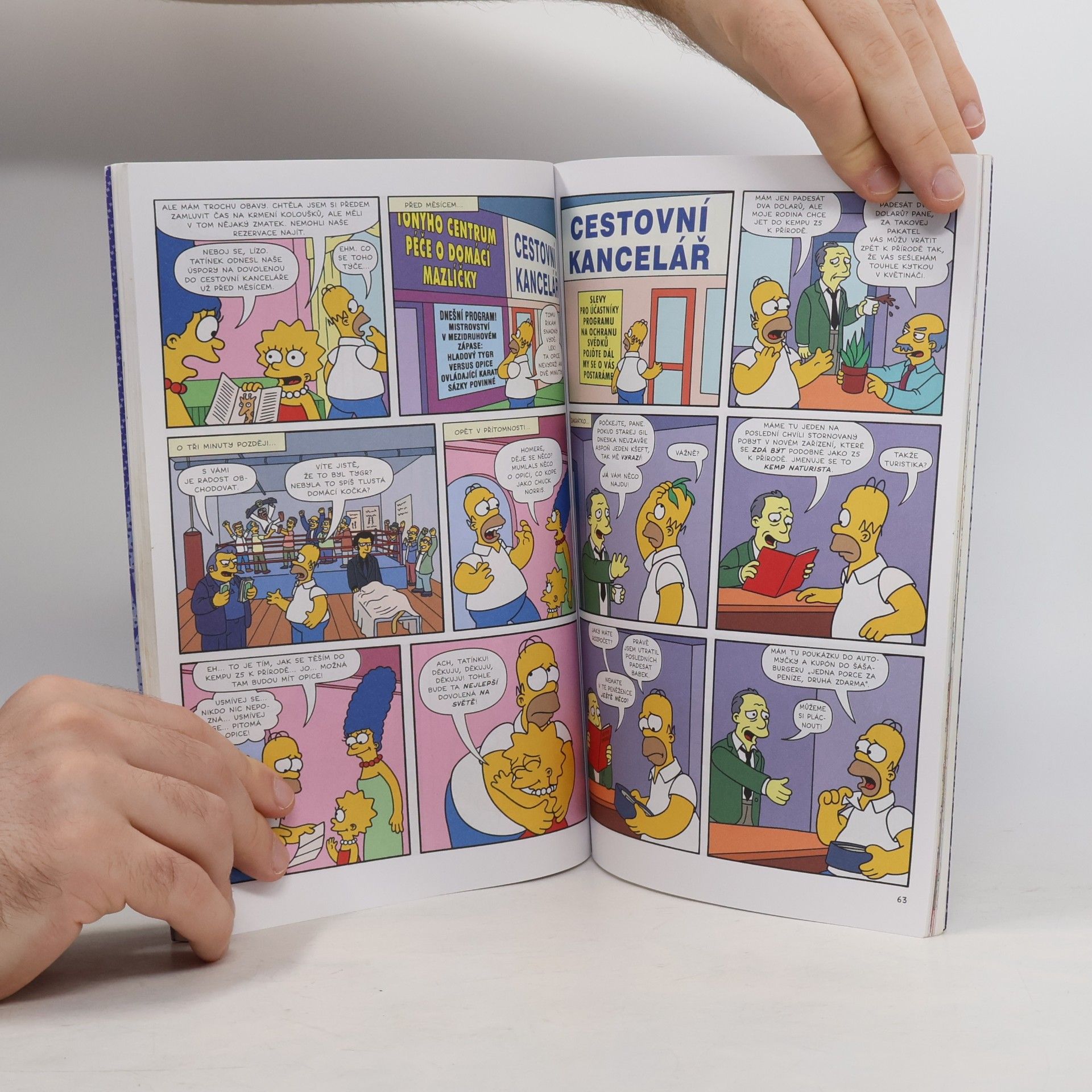 Matt Groening Simpsonovi. Přísně tajné