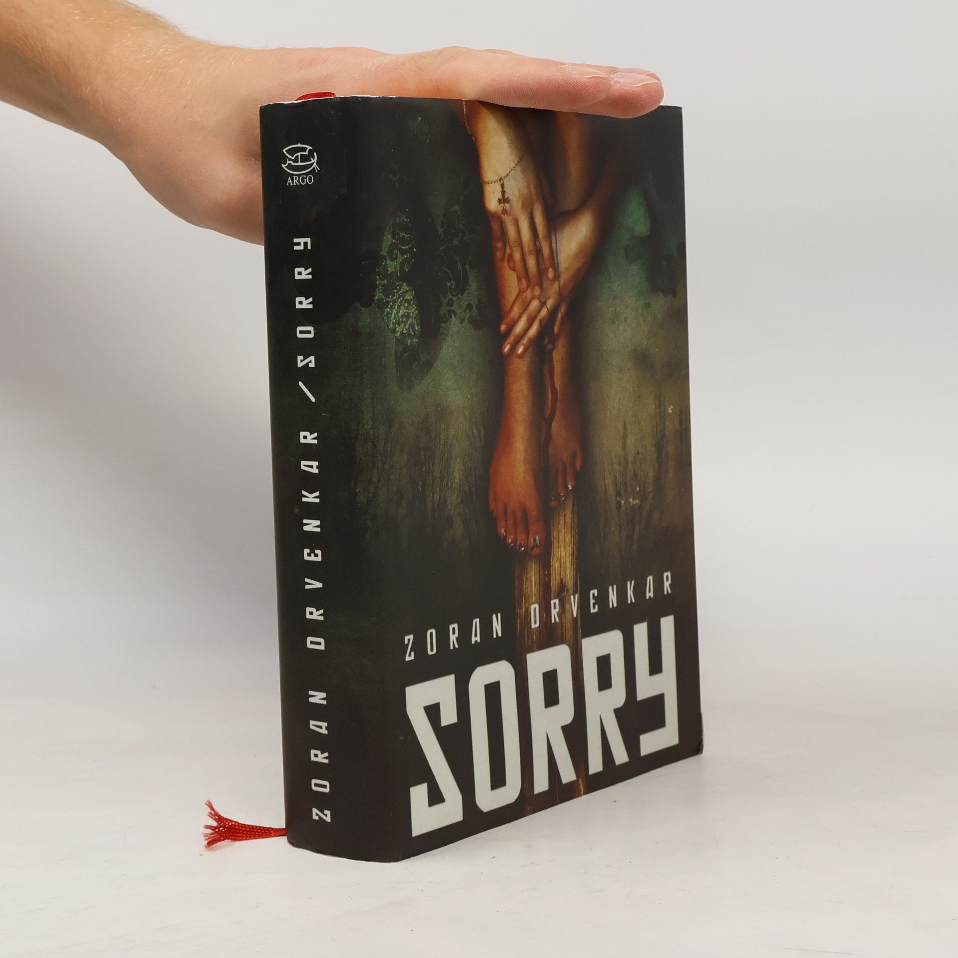Zoran Drvenkar Sorry