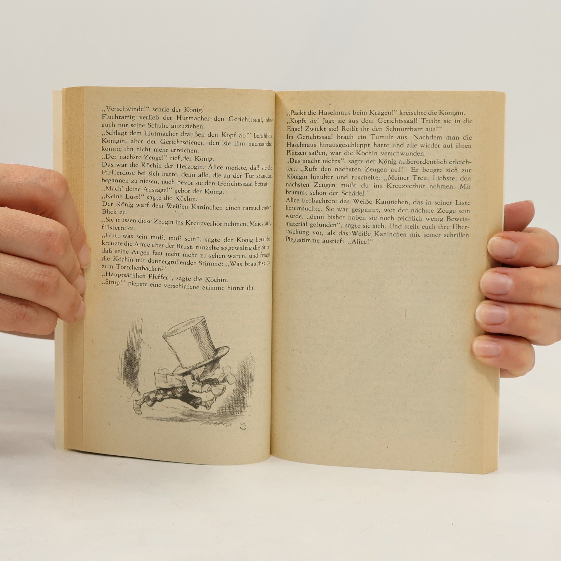 Lewis Carroll Alice im Wunderland. Alice im Spiegelland