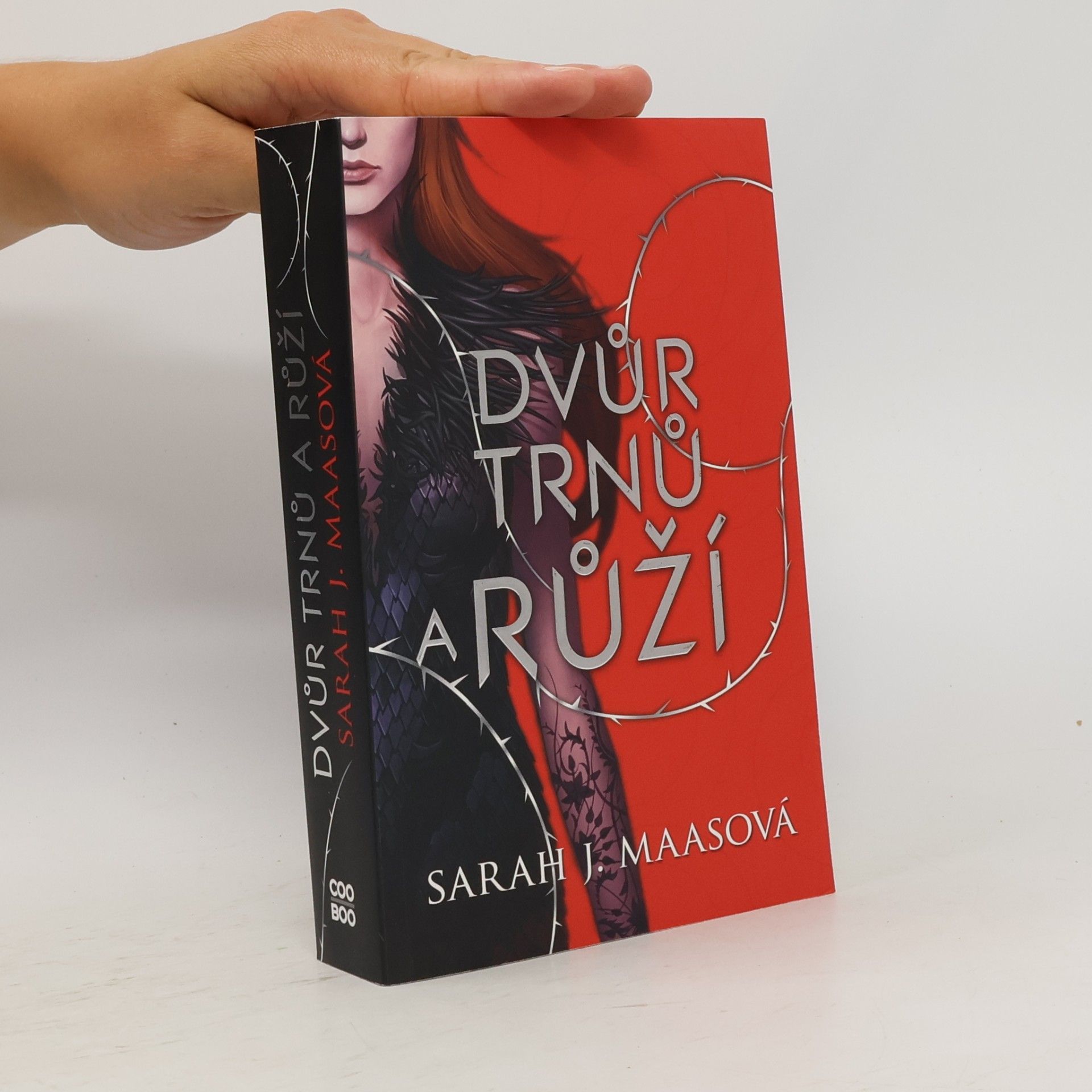 Sarah J. Maas Dvůr trnů a růží