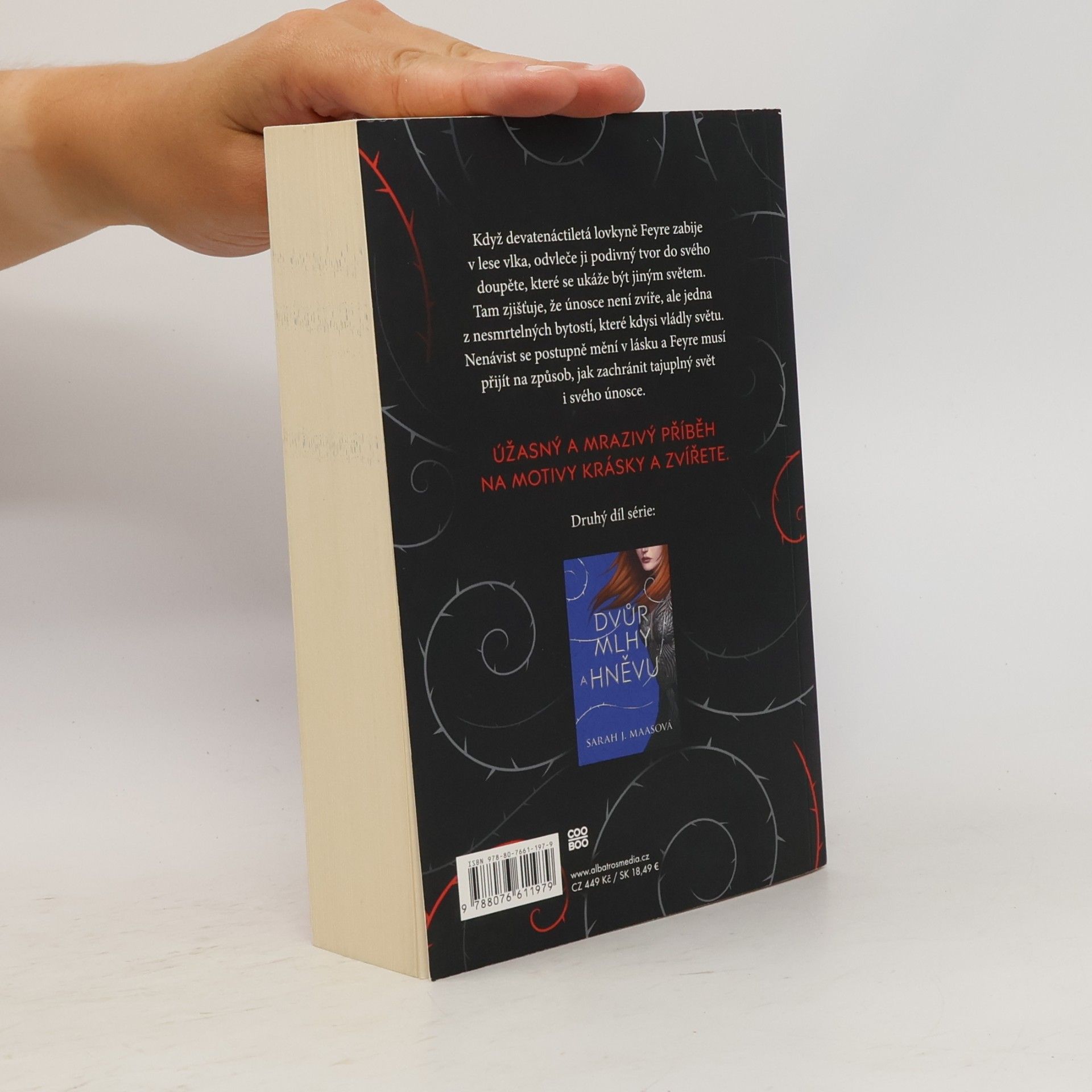 Sarah J. Maas Dvůr trnů a růží