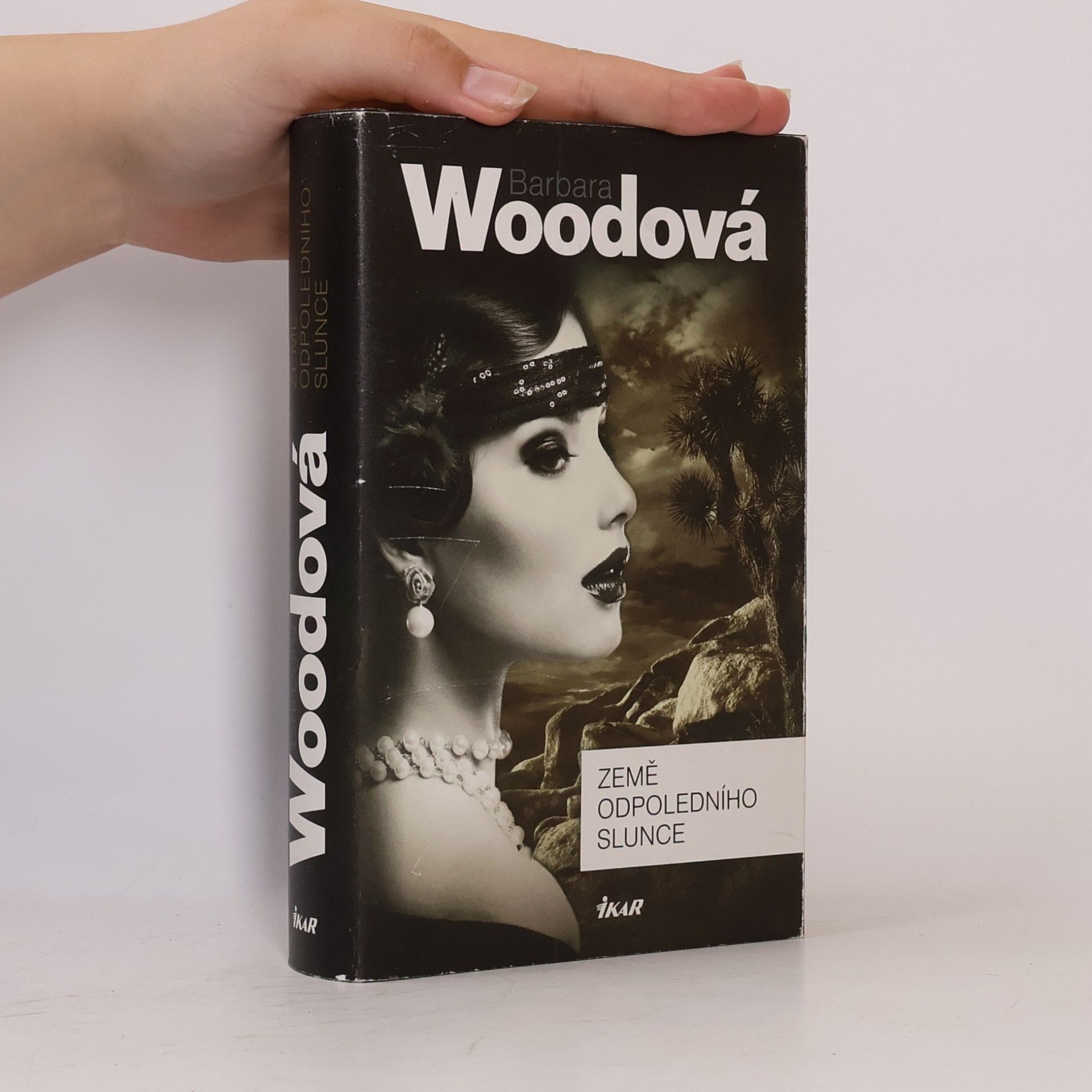 Barbara Wood Země odpoledního slunce