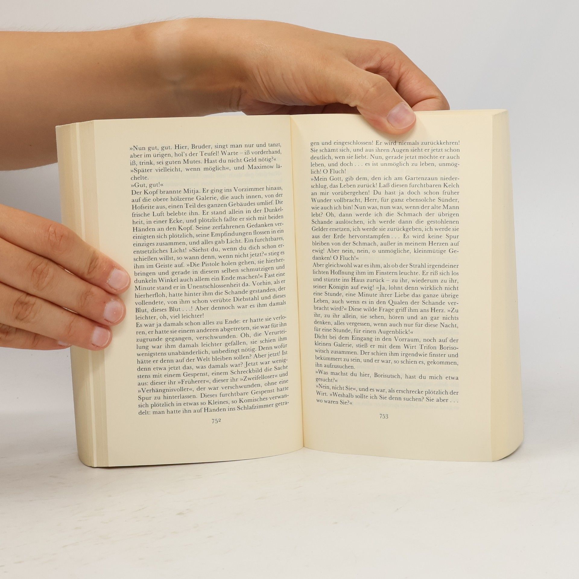 Fjodor Michajlovič Dostojevskij Insel Taschenbuch: Die Brüder Karamasow