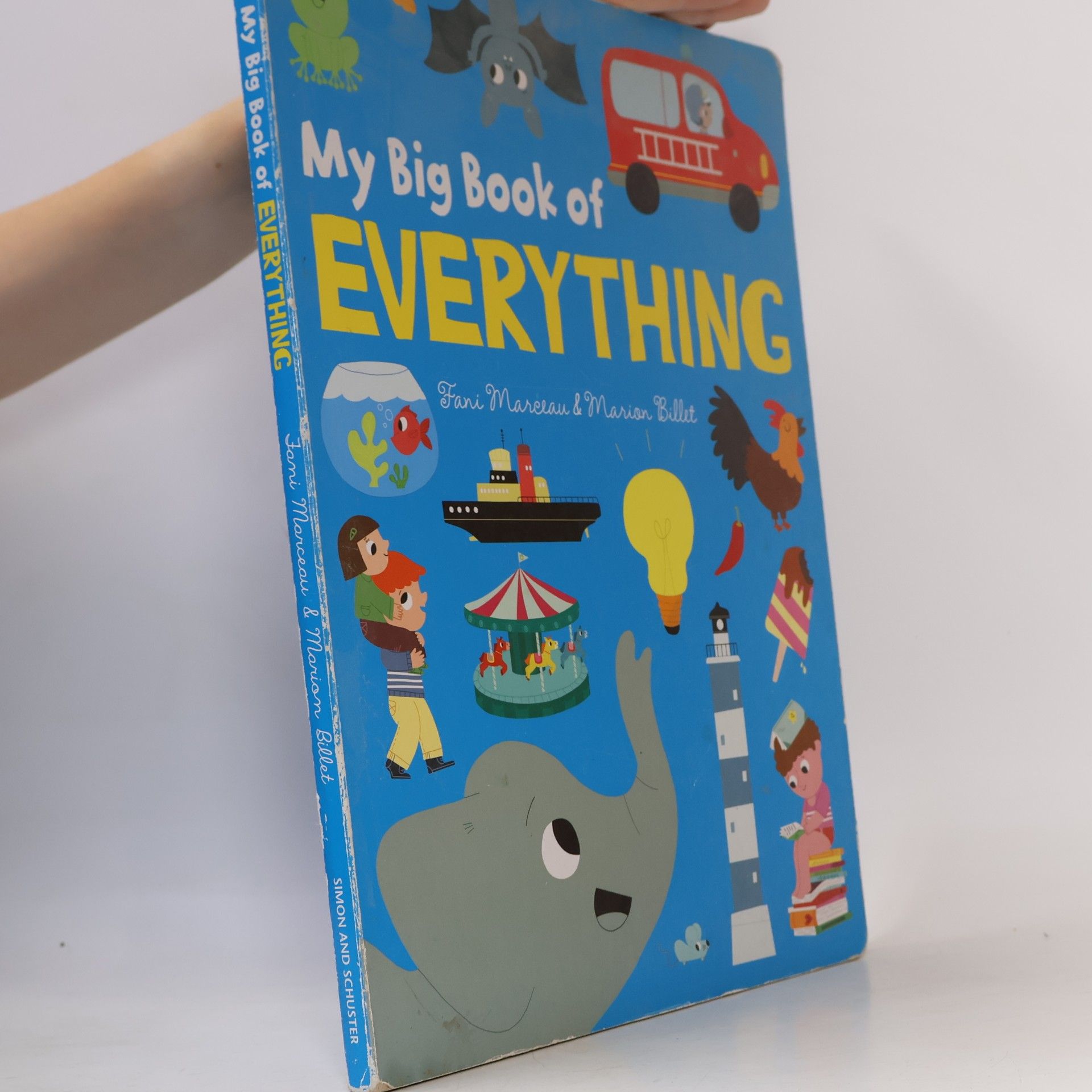 My Big Book of Everything