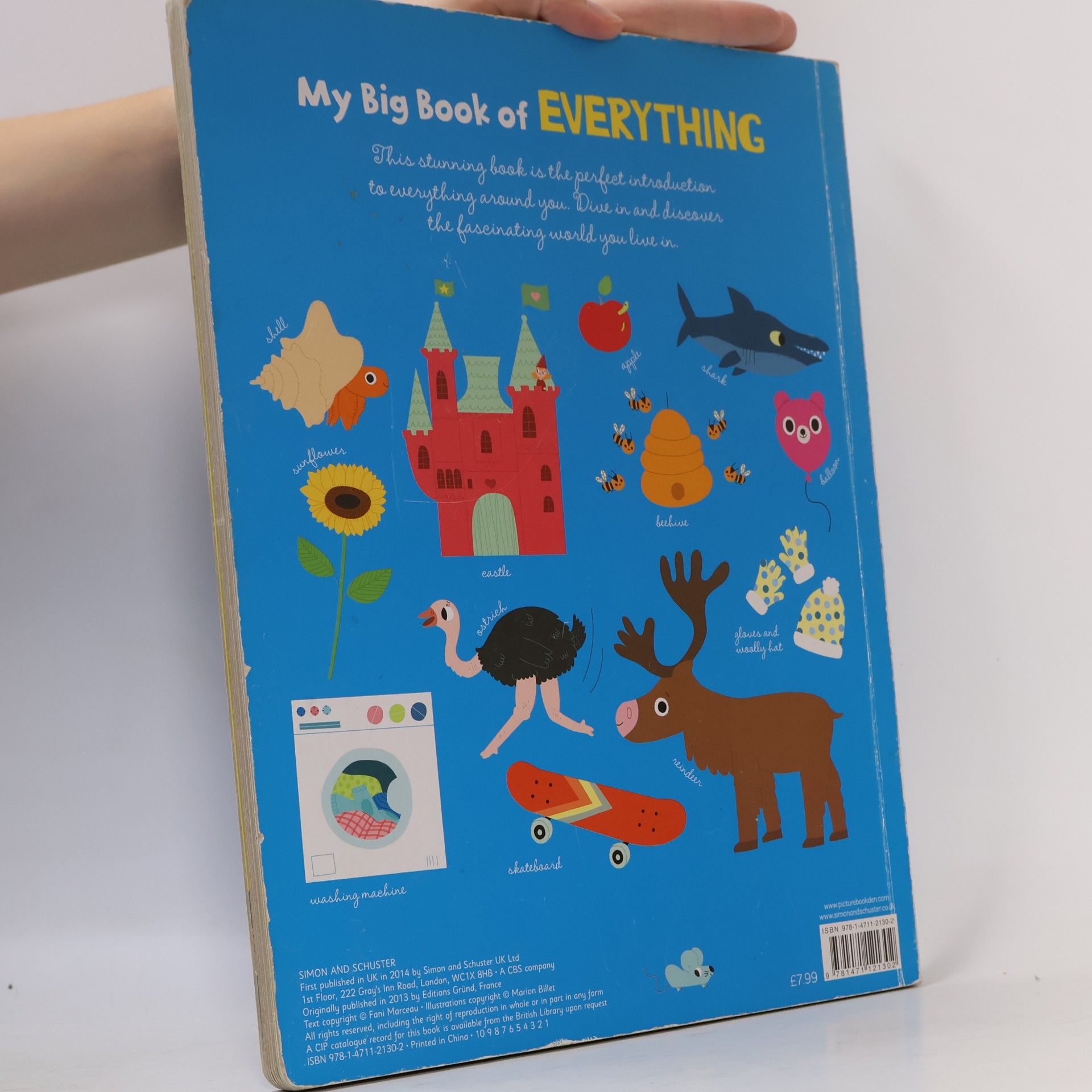 Fani Marceau My Big Book of Everything