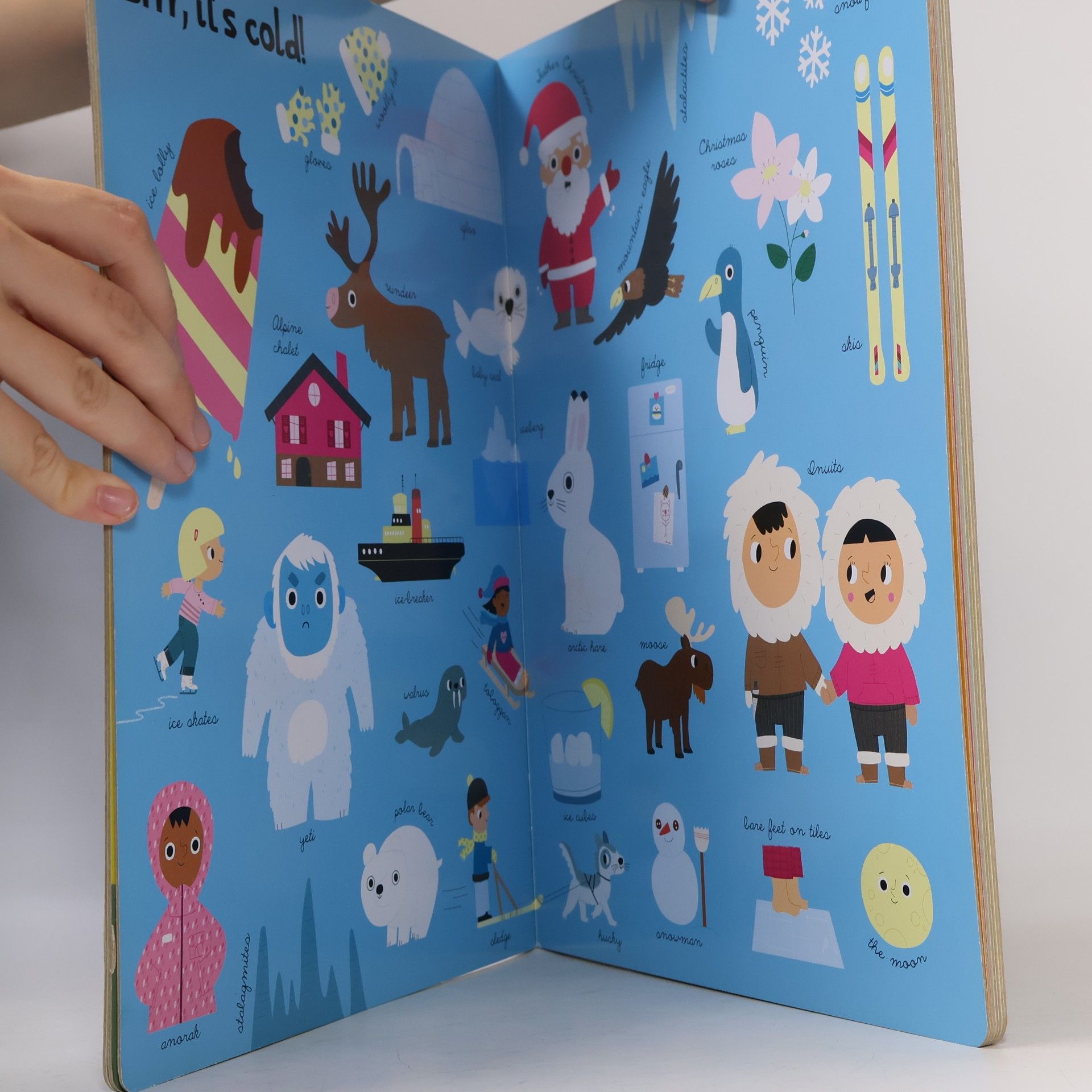 Fani Marceau My Big Book of Everything