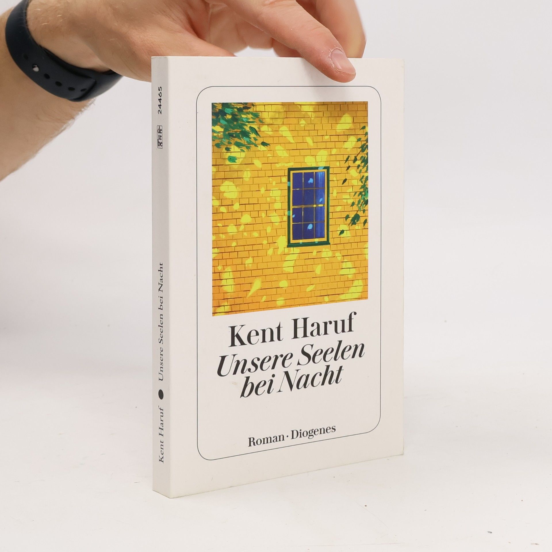 Kent Haruf Unsere Seelen bei Nacht