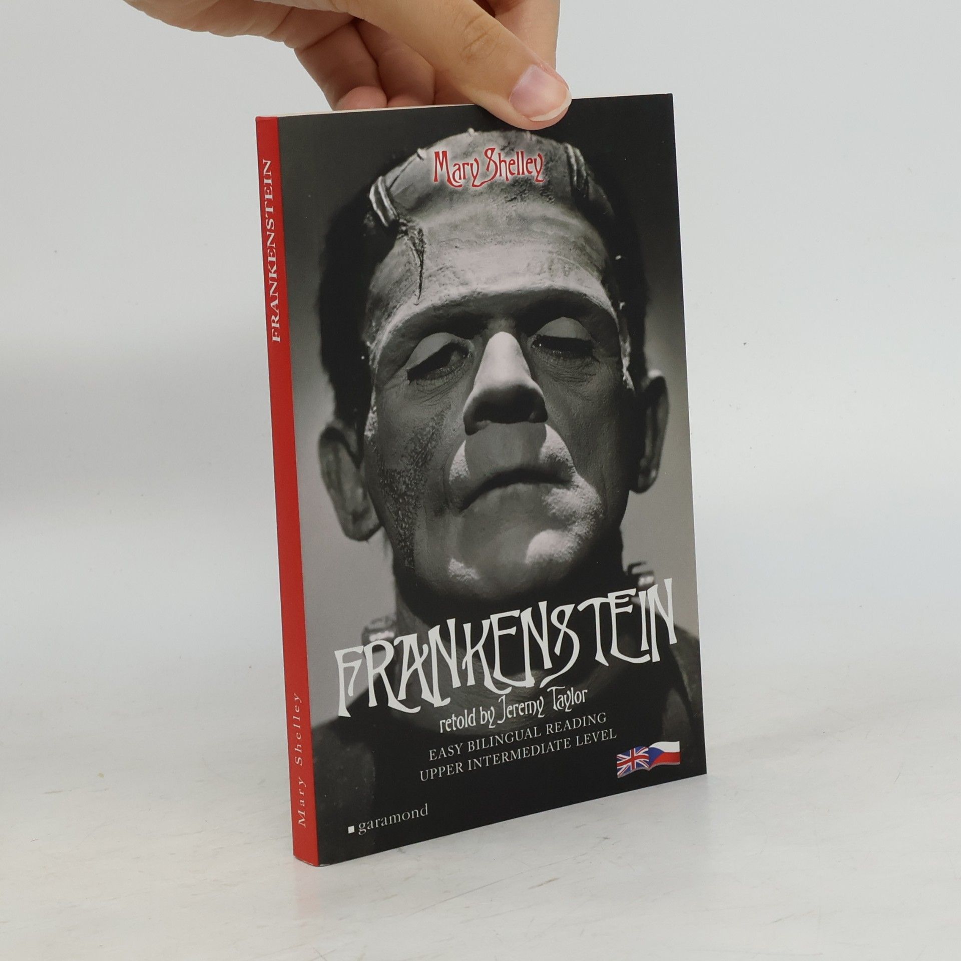 Mary Shelley Frankenstein