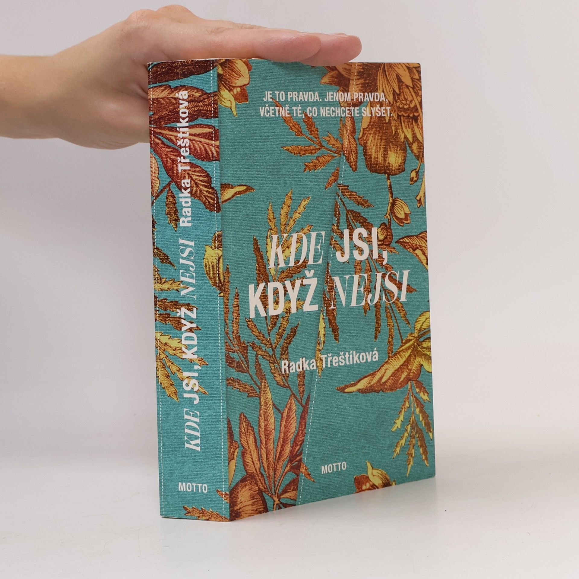 Radka Třeštíková Kde jsi, když nejsi