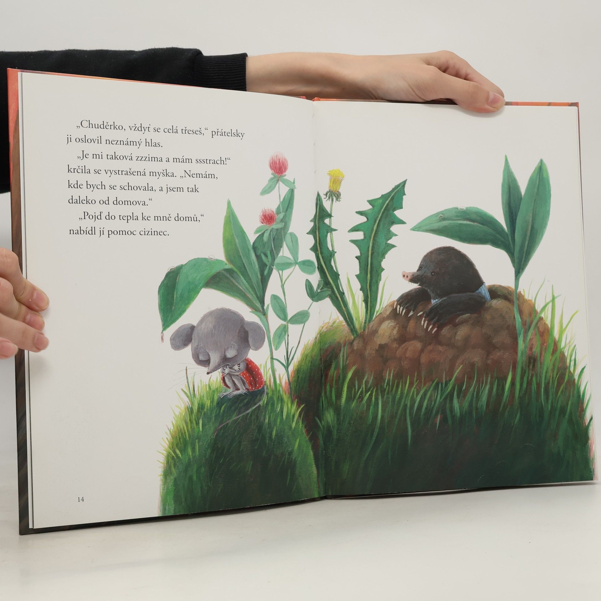 Nina Mav Hrovat Jak myška hledala kamarády