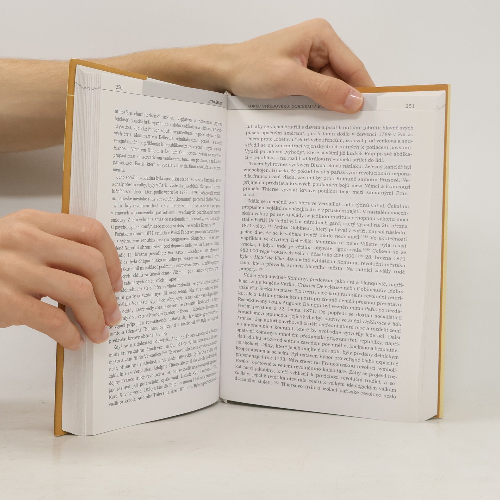 Ivo T. Budil Jitro Árijců: život a dílo Arthura Gobineaua, zakladatele árijské ideologie