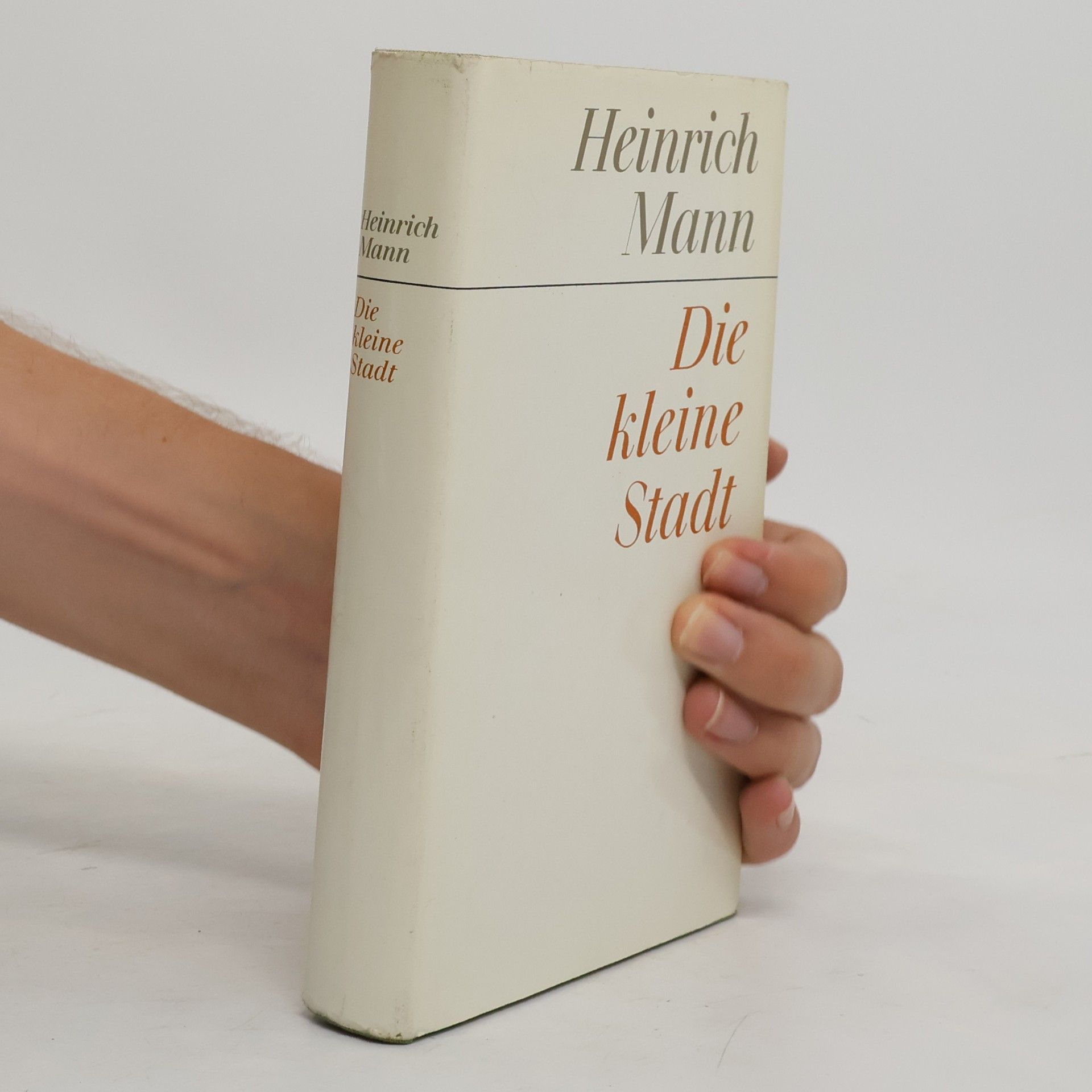 Heinrich Mann Die kleine Stadt