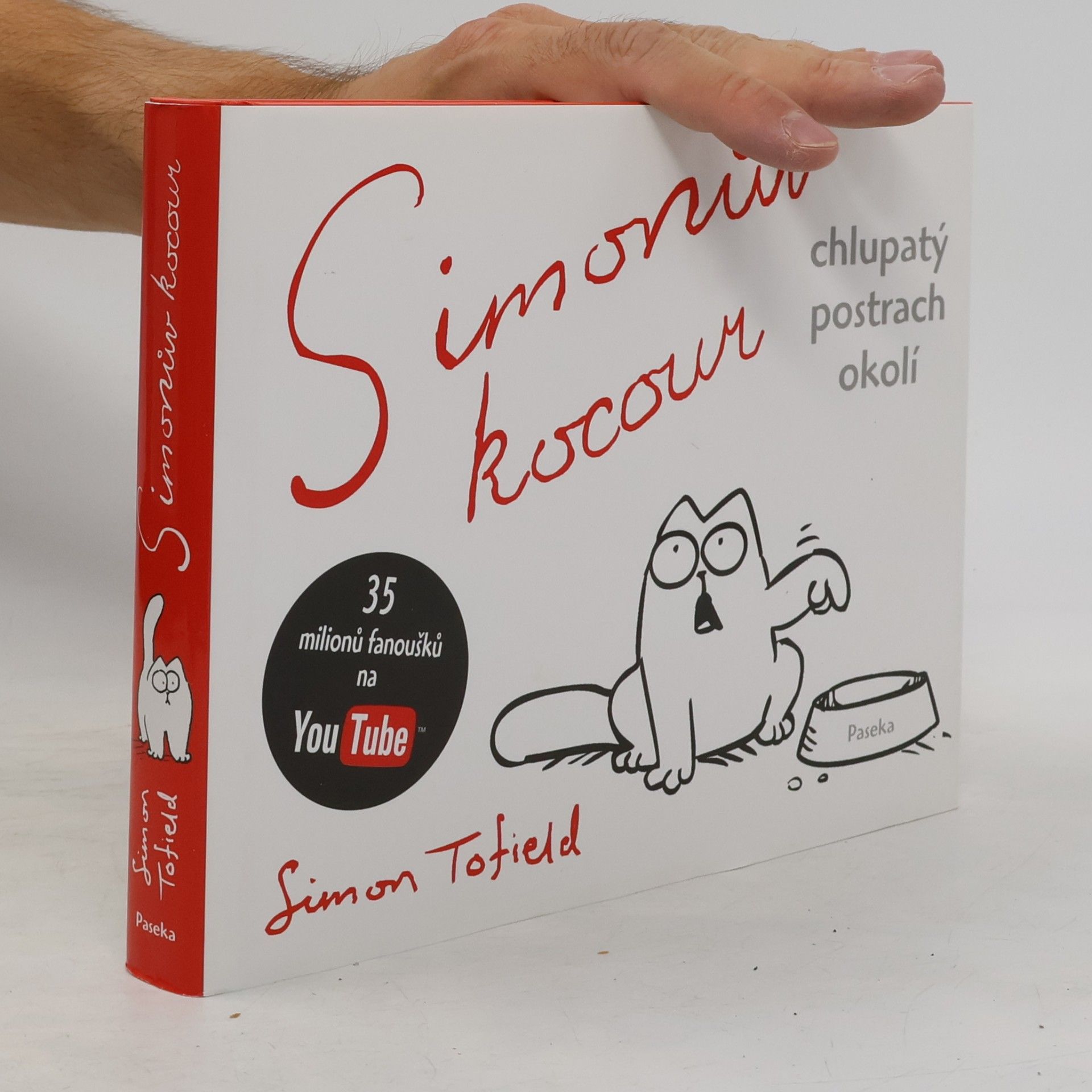 Simonův kocour