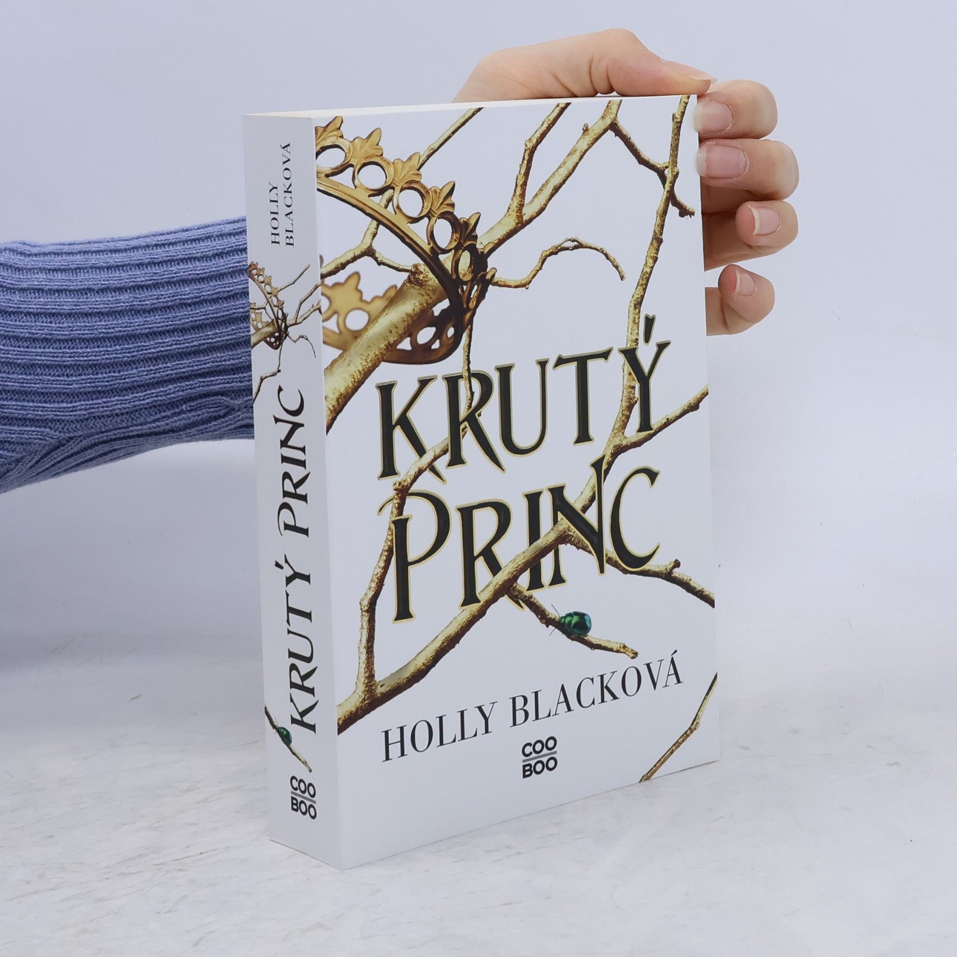 Holly Black Krutý princ