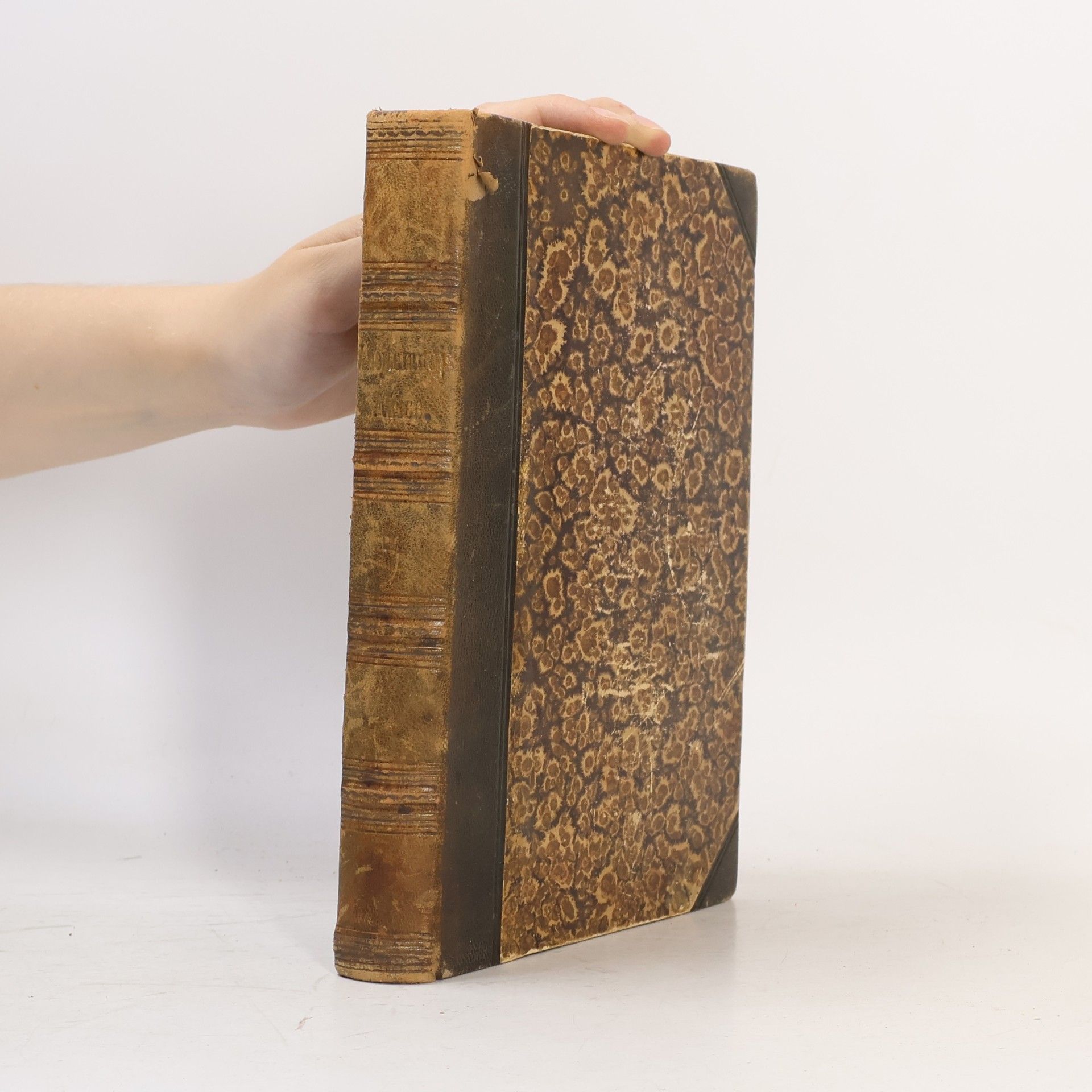 Henry Morton Stanley V nejtemnější Africe neboli hledání, zachránění a ústup Emina, guvernéra Aequatorie sv. II.