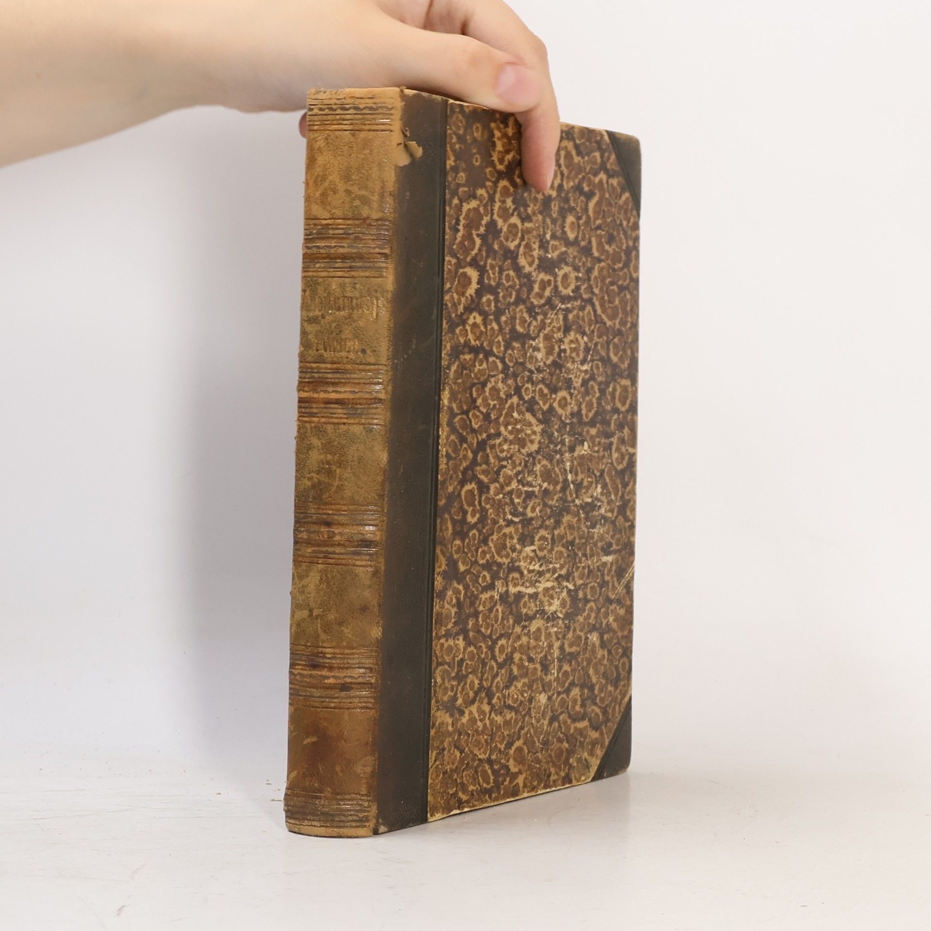 Henry Morton Stanley V nejtemnější Africe neboli hledání, zachránění a ústup Emina, guvernéra Aequatorie sv. II.