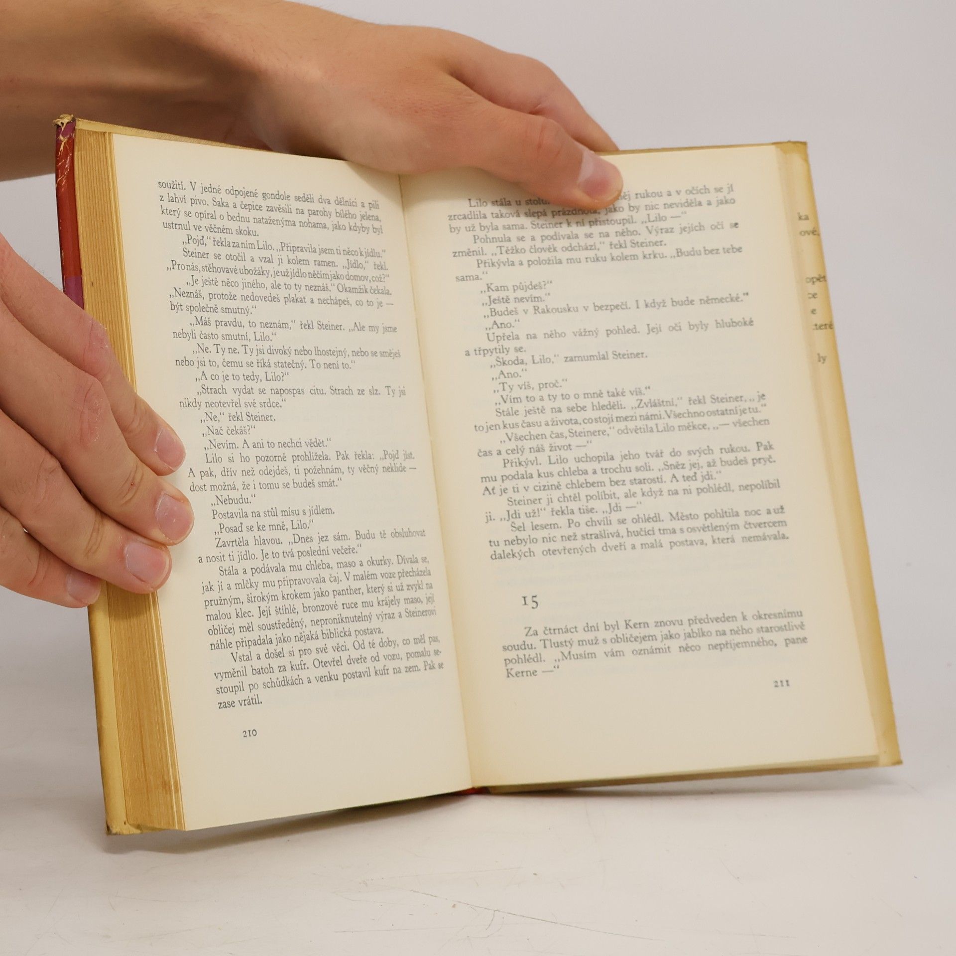 Erich Maria Remarque Miluj bližního svého