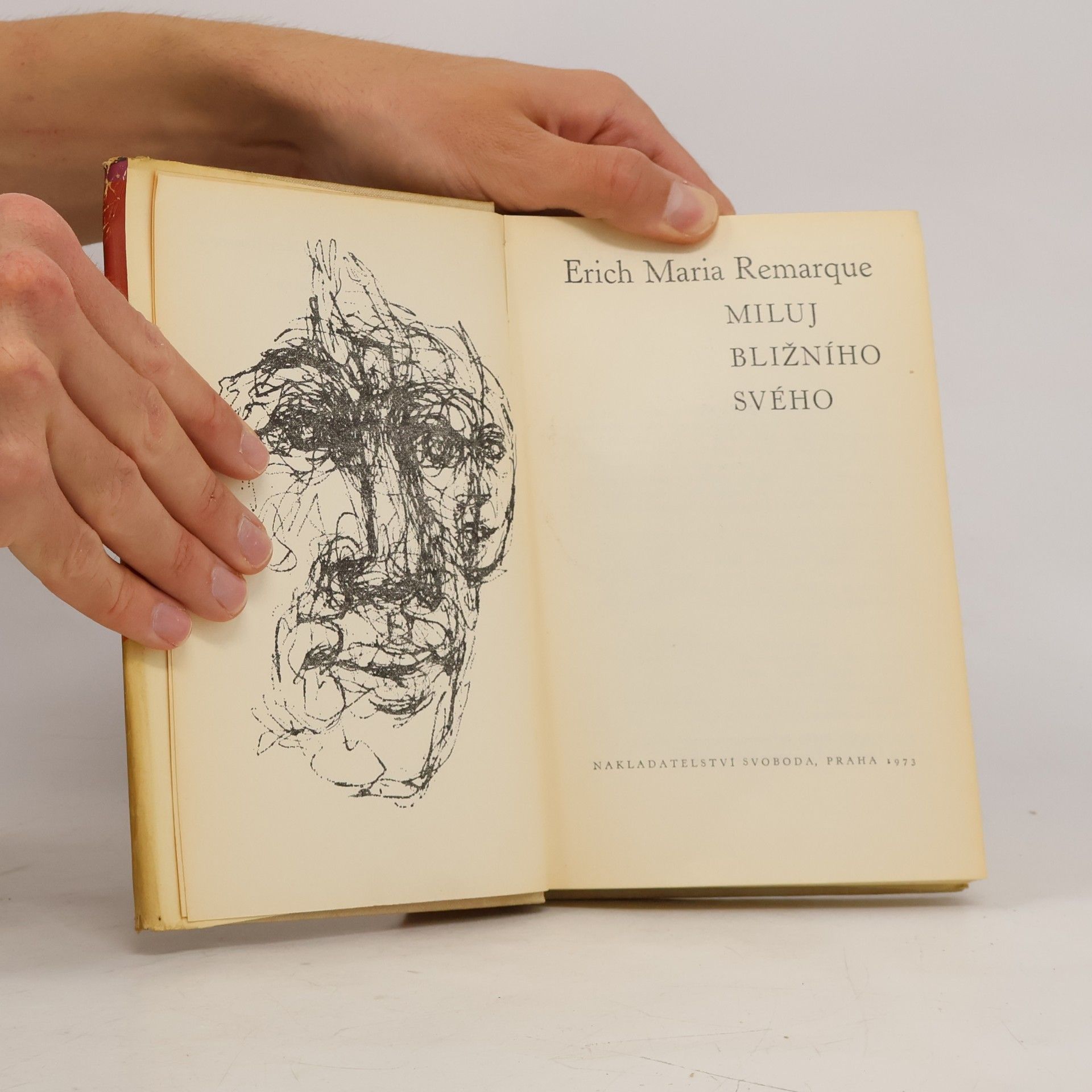 Erich Maria Remarque Miluj bližního svého