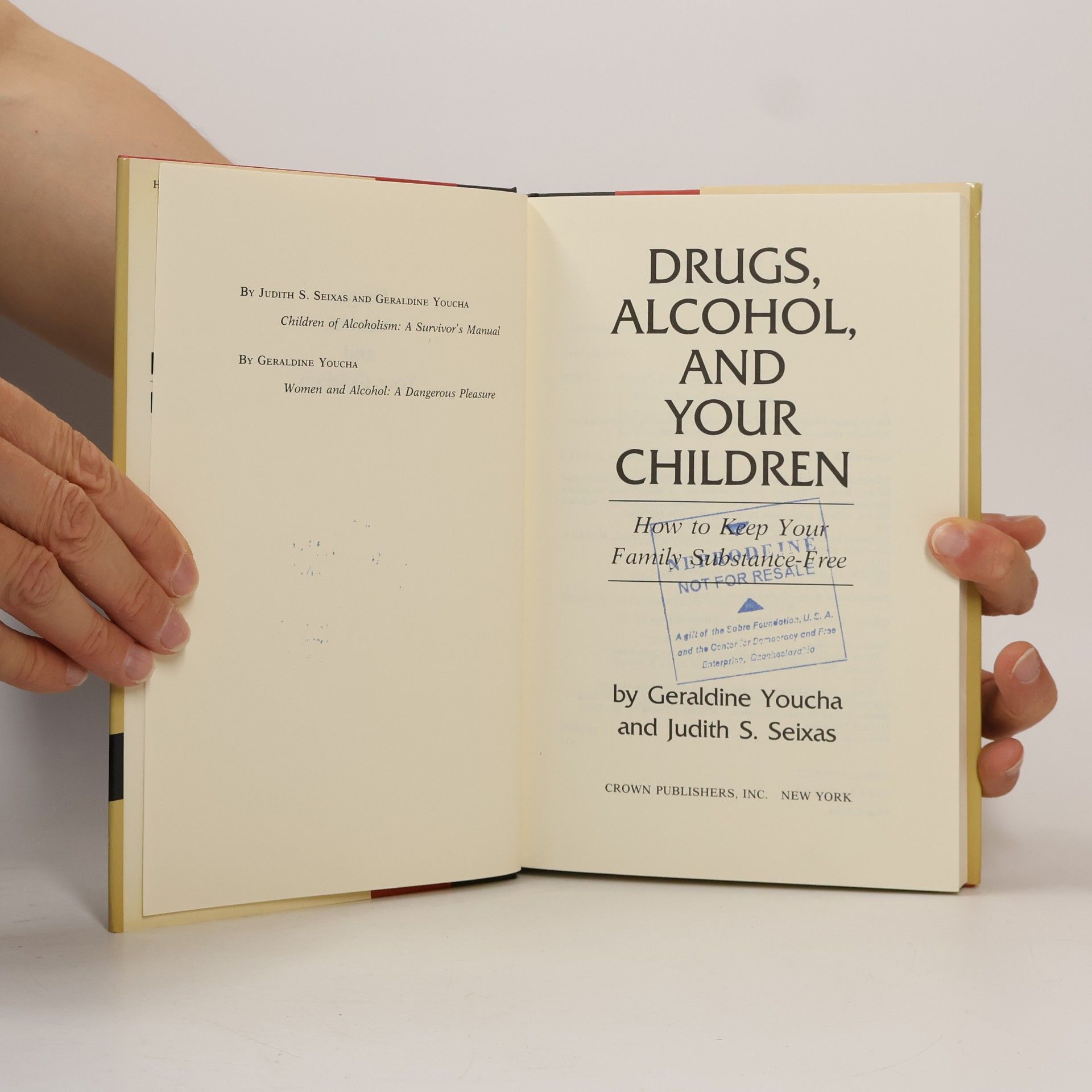 Geraldine Youcha Drugs Alcohol & Your Children