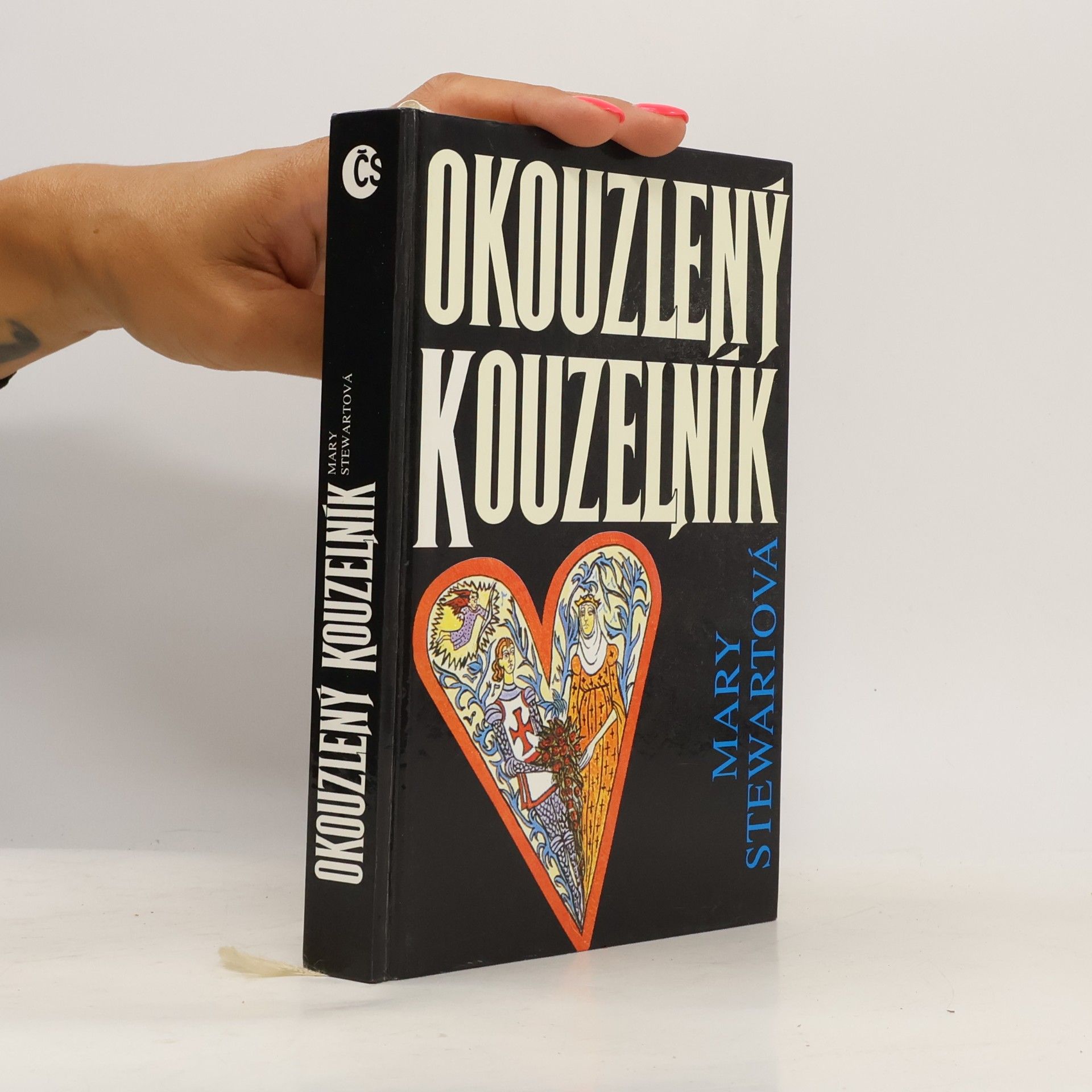Mary Stewart Okouzlený kouzelník