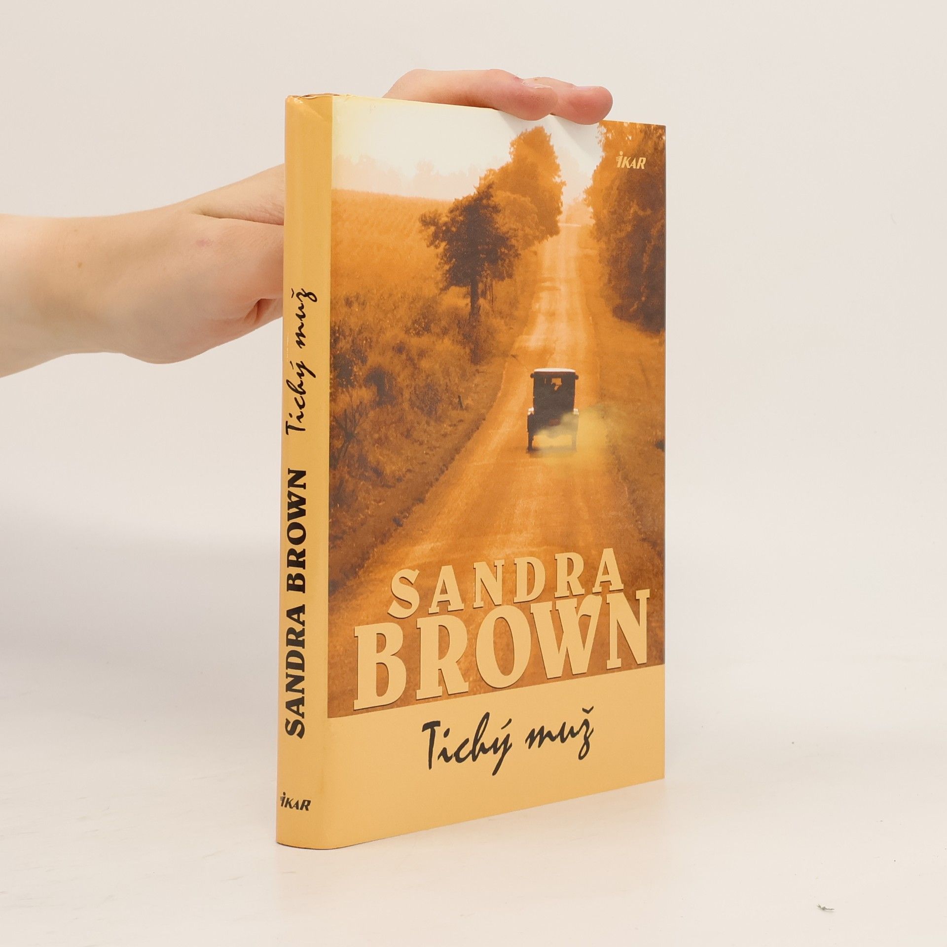 Sandra Brown Tichý muž