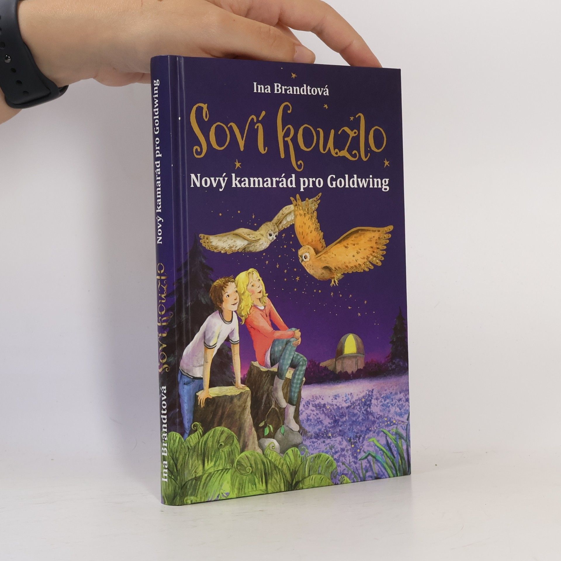 Irene Mohr Soví kouzlo. Nový kamarád pro Goldwing