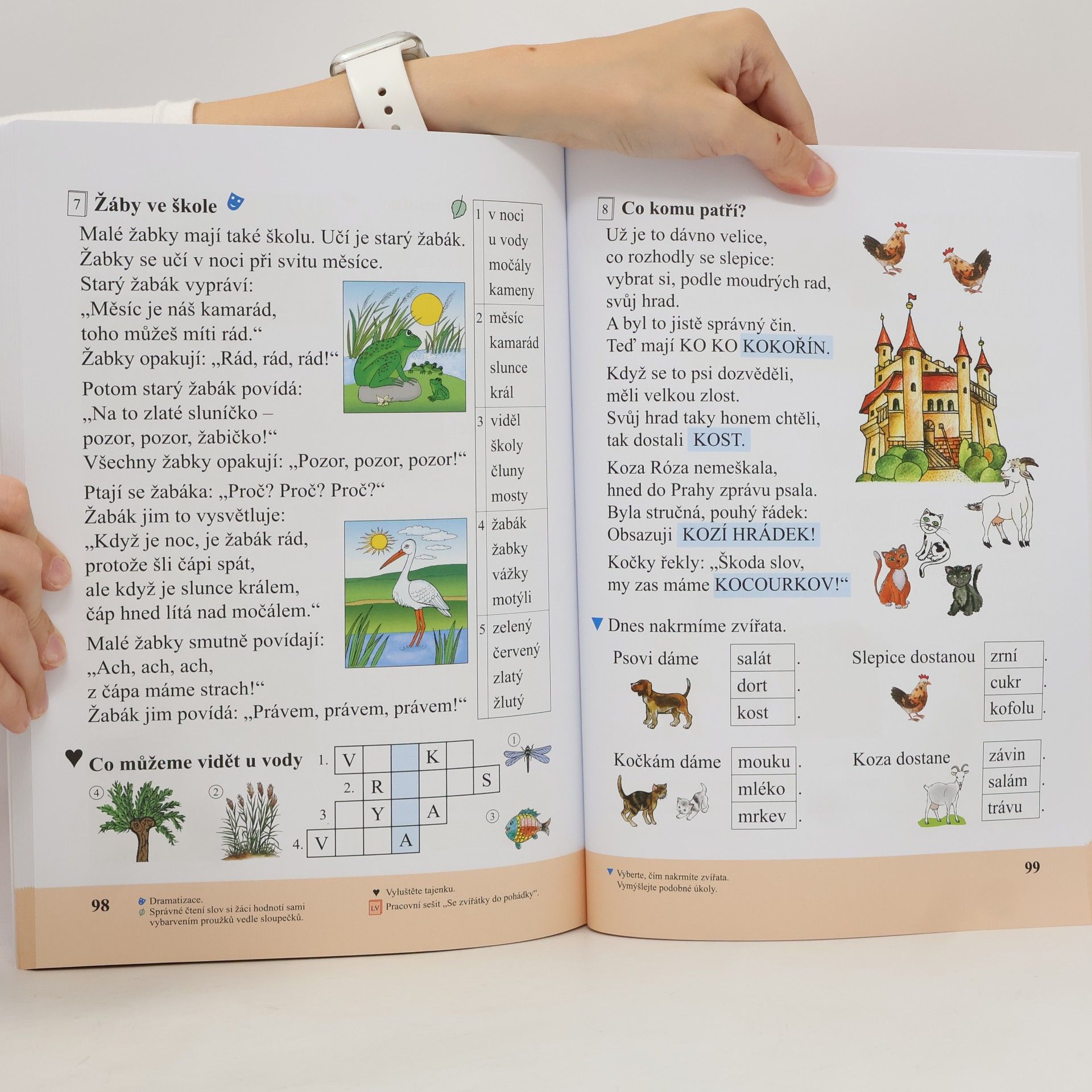Autorenkollektiv Slabikář pro 1. ročník, původní řada Duhová řada