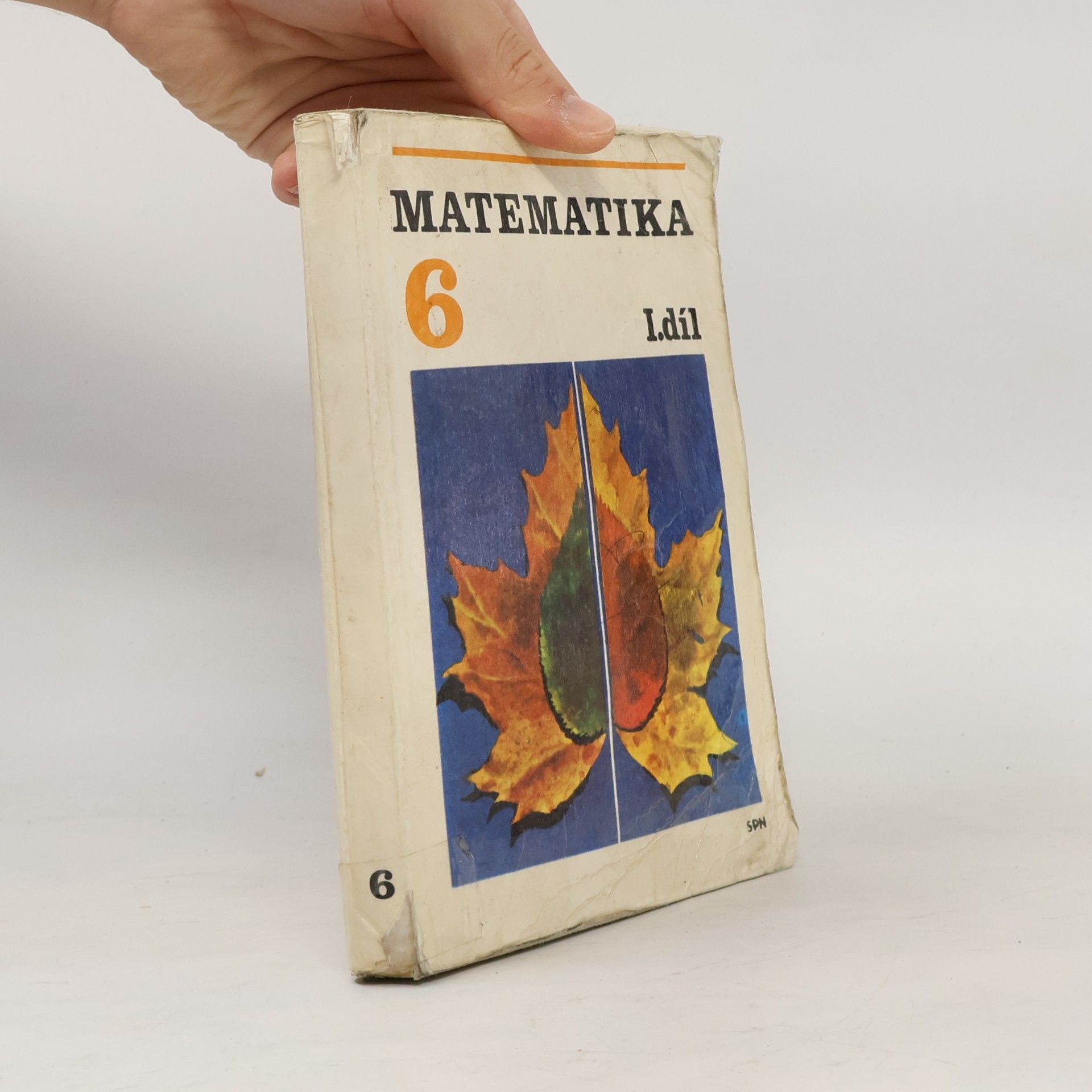 Daniela Řebíčková Matematika pro 6. ročník základní školy