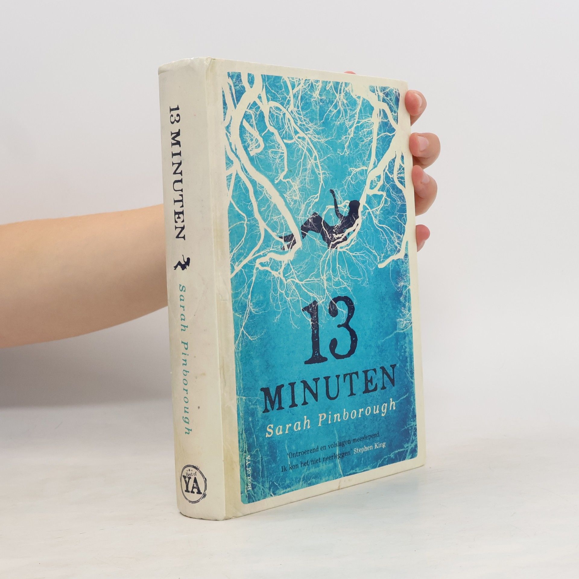 Sarah Pinborough Best of YA: 13 minuten