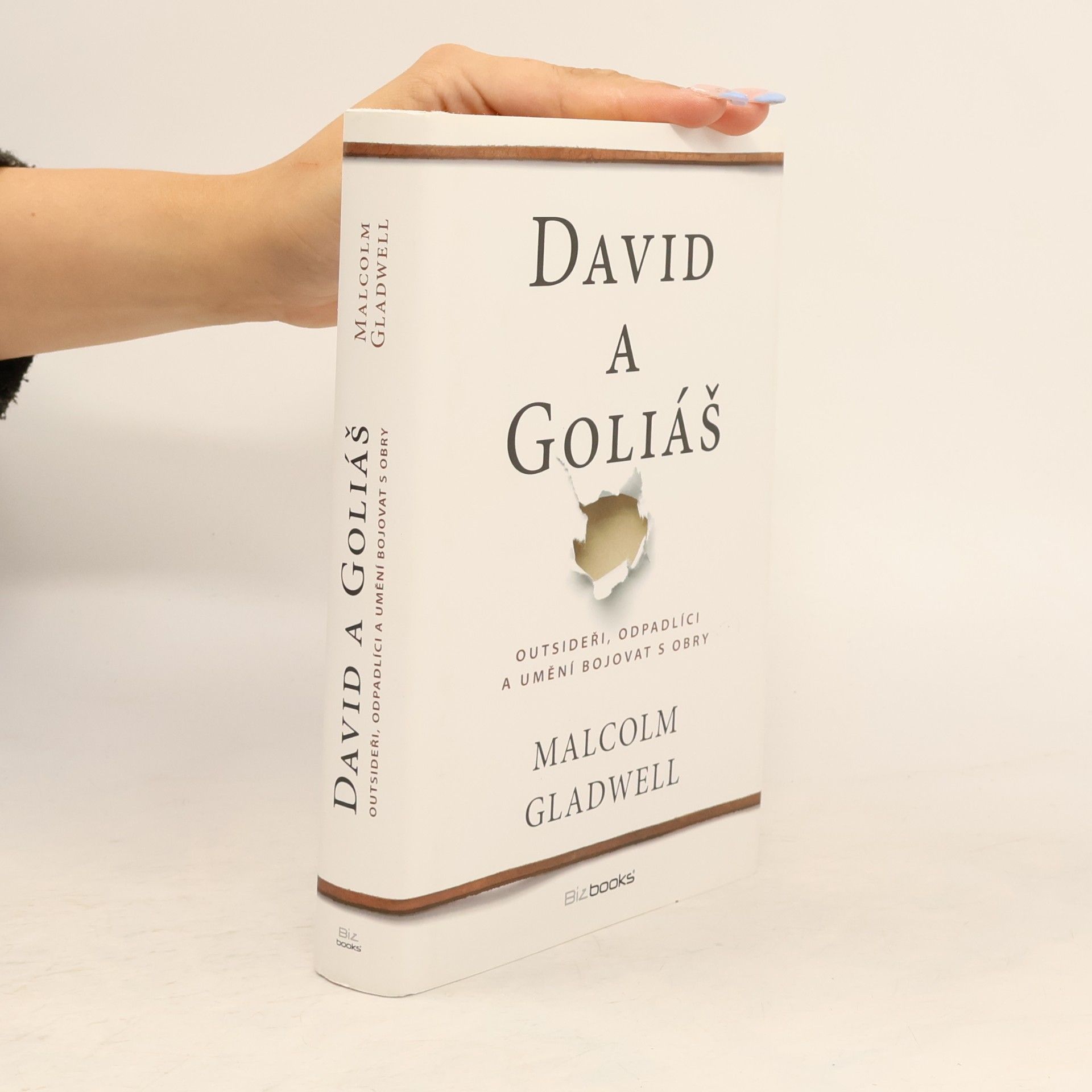 David a Goliáš. Outsideři, odpadlíci a umění bojovat s obry