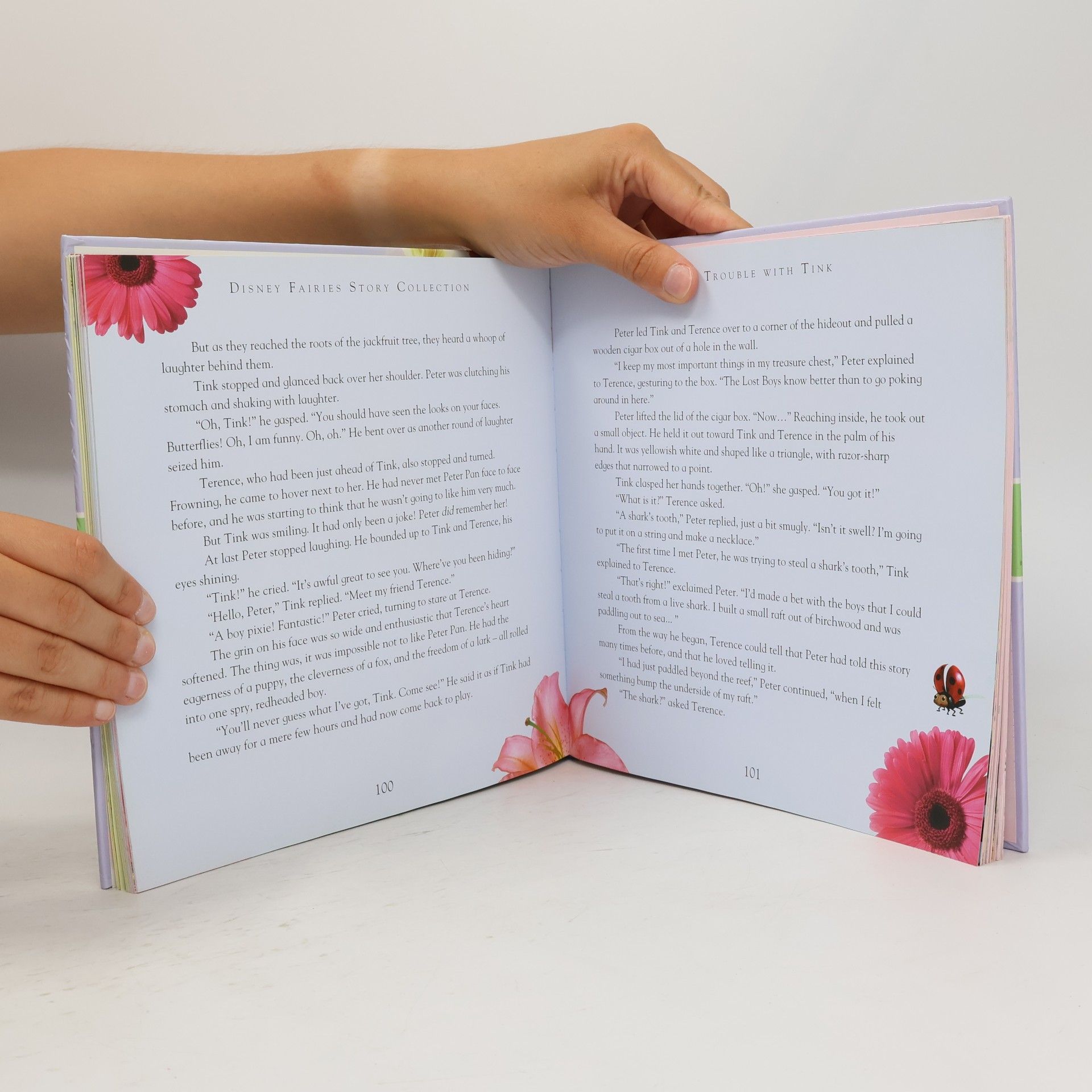 Various authors Disney Fairies: Storybook Collection