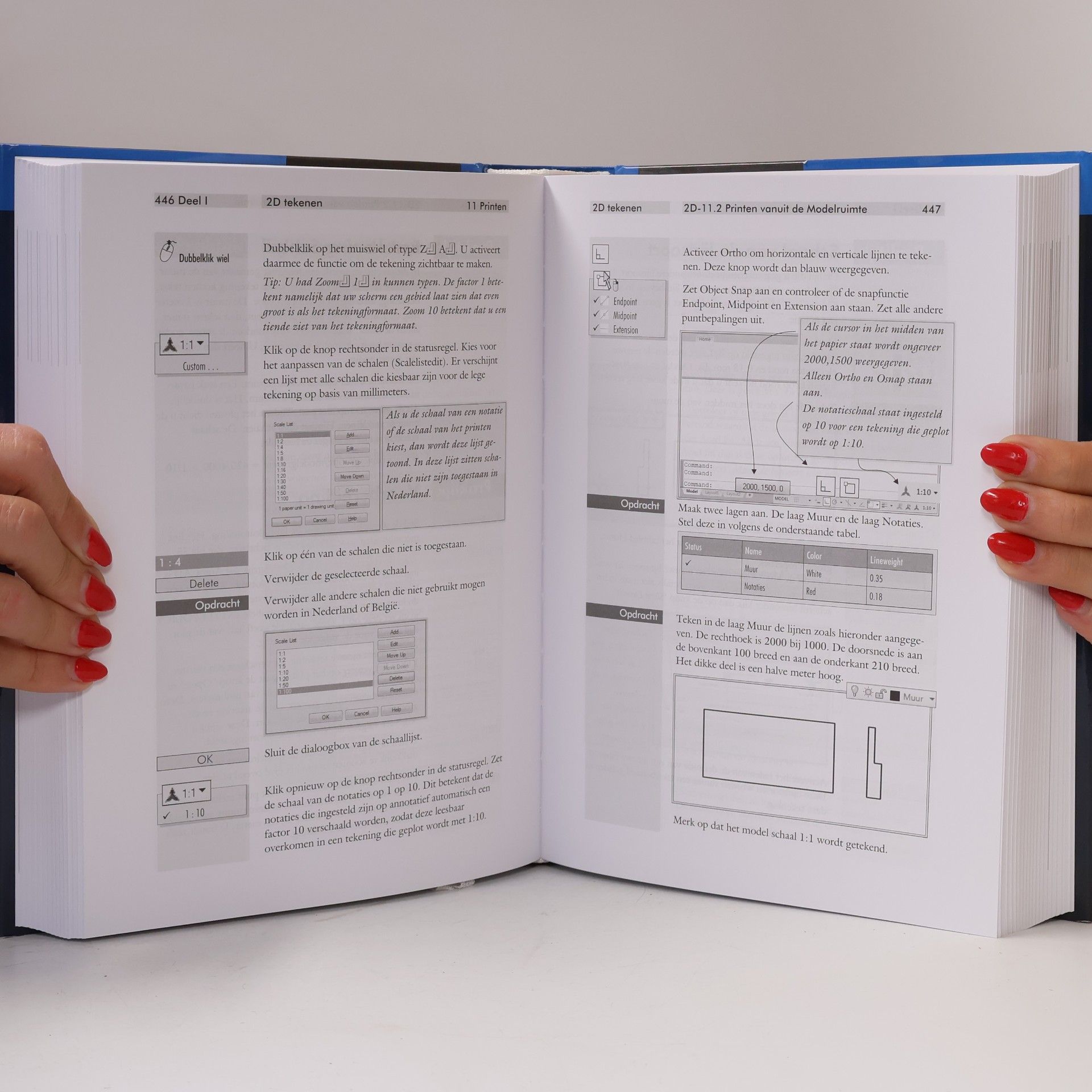 Ronald Boeklagen AutoCAD LT2019: Computer ondersteund ontwerpen