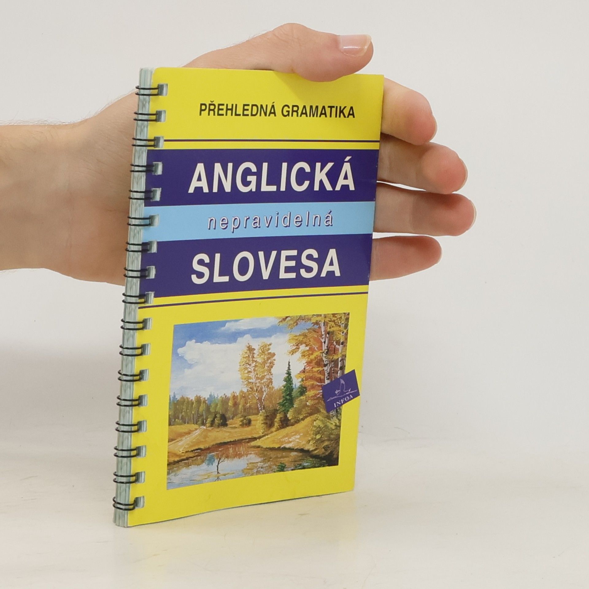 Ivana Doubravová Přehledná gramatika – anglická nepravidelná slovesa