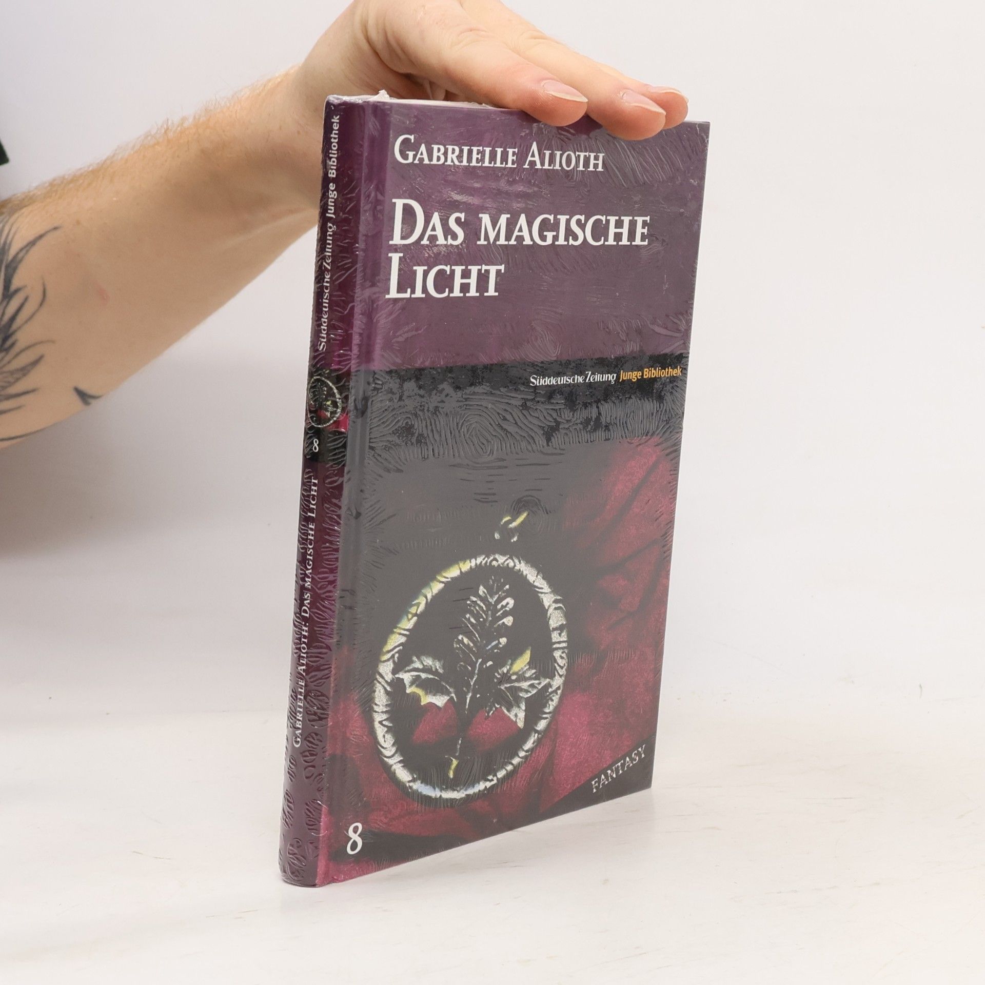 Gabrielle Alioth Das magische Licht