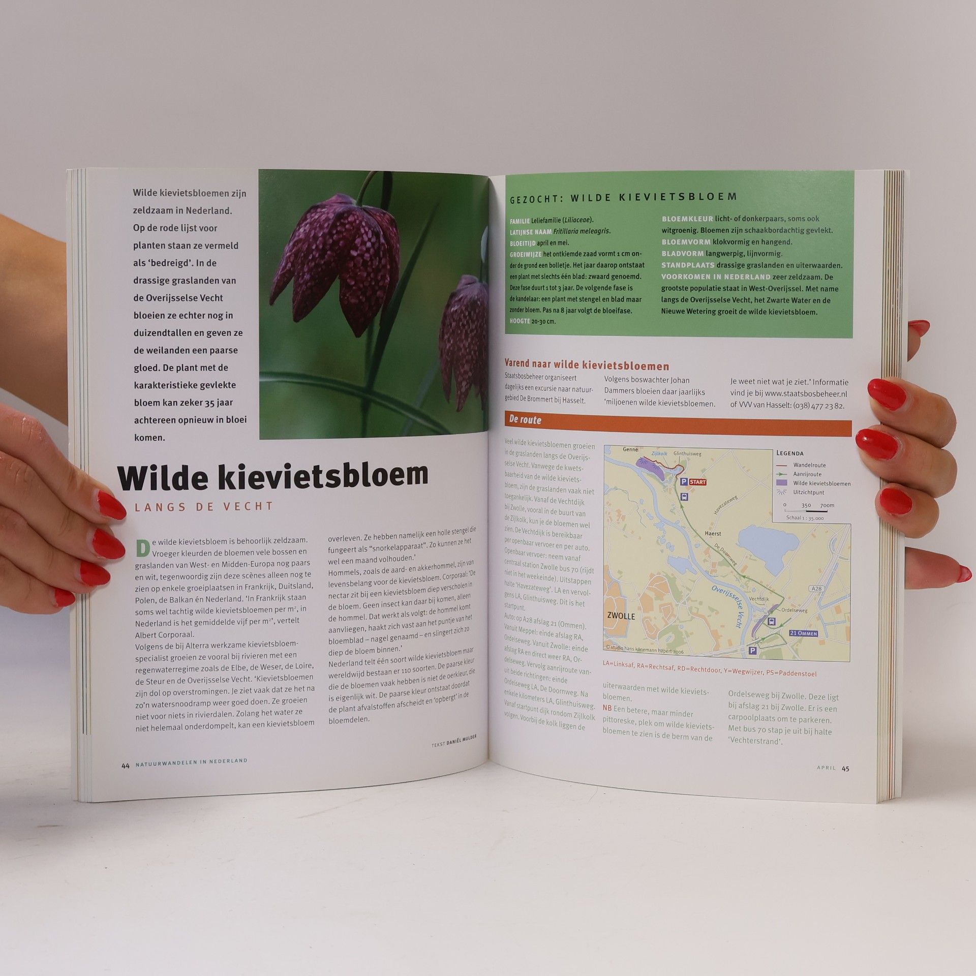 Natuurwandelen in Nederland