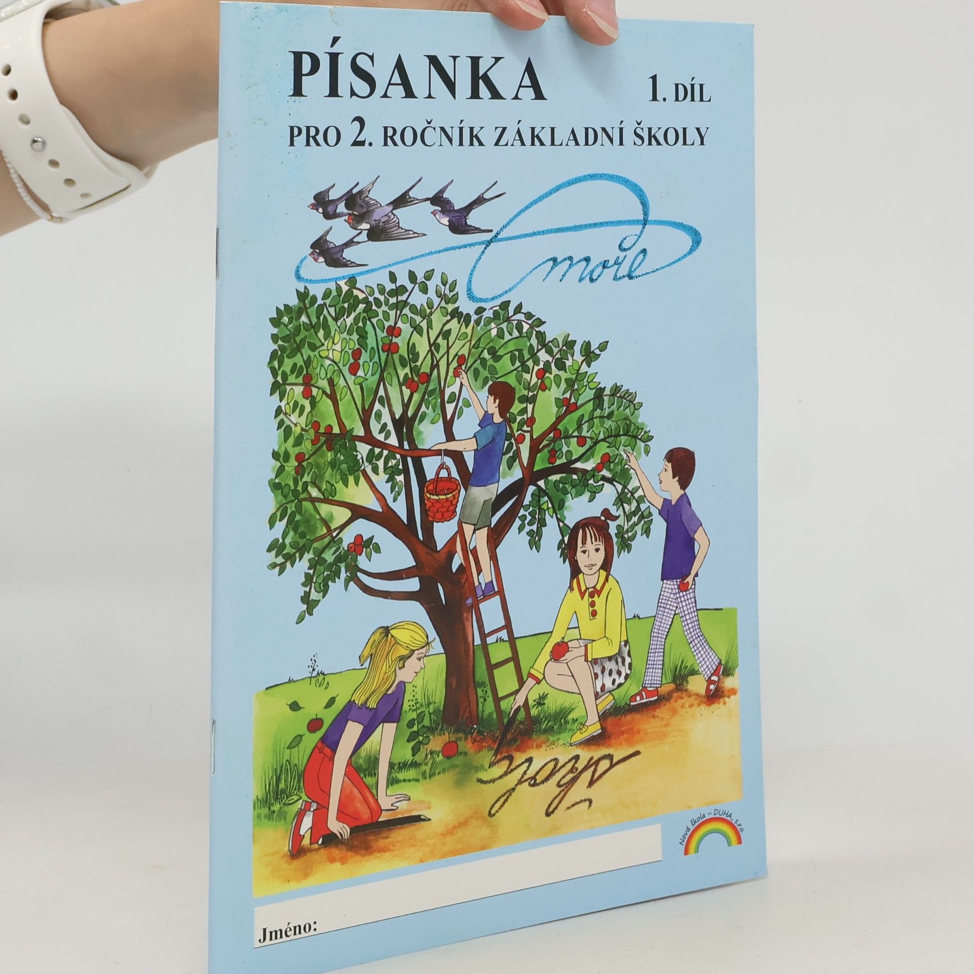 Autorenkollektiv Písanka pro 2. ročník základní školy (1. díl)