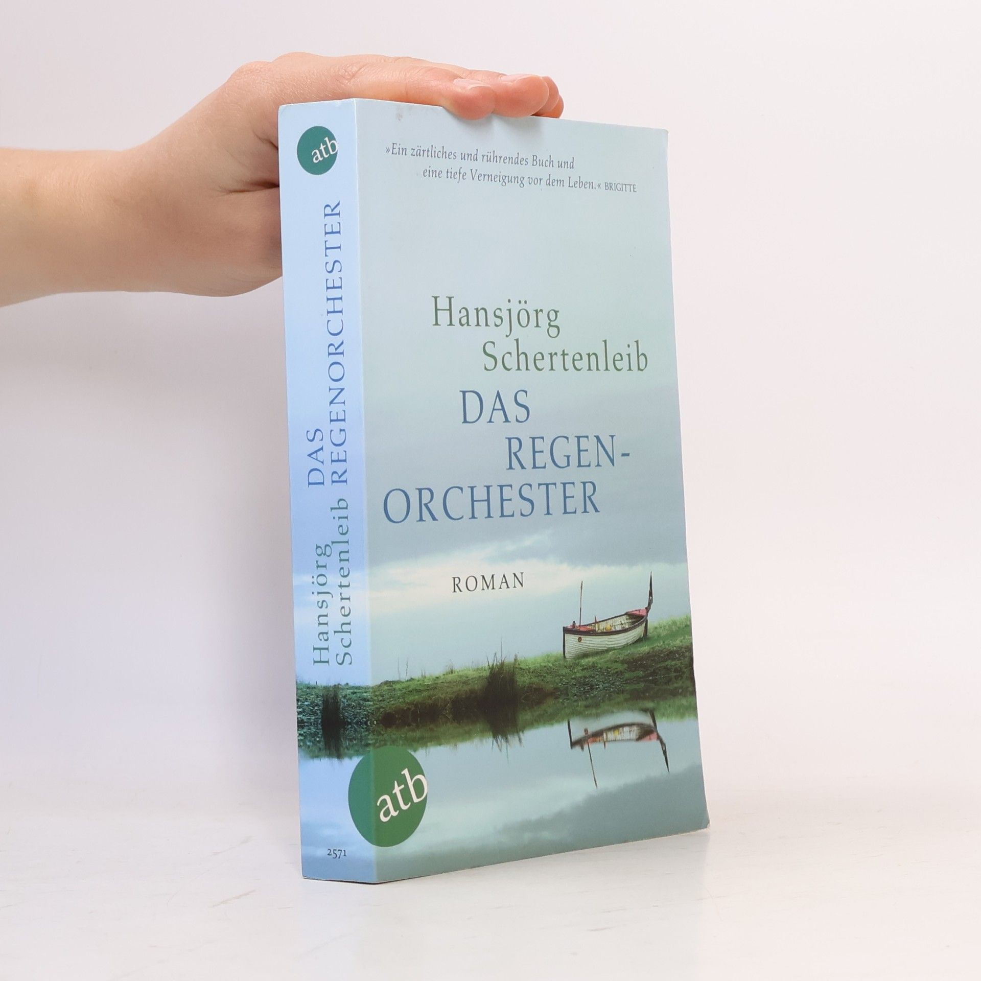 Hansjörg Schertenleib Das Regenorchester