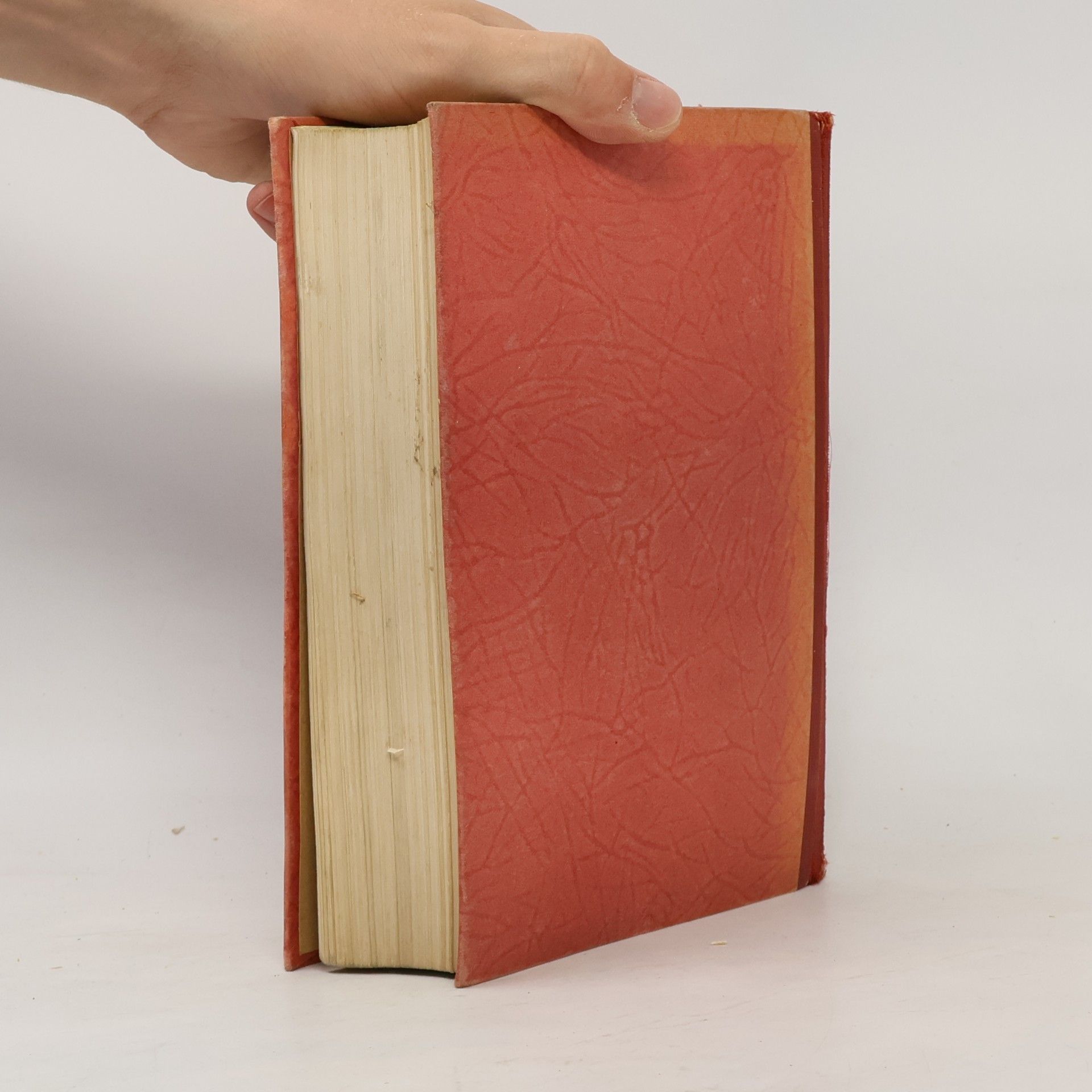 Margaret Mitchell Jih proti severu 1