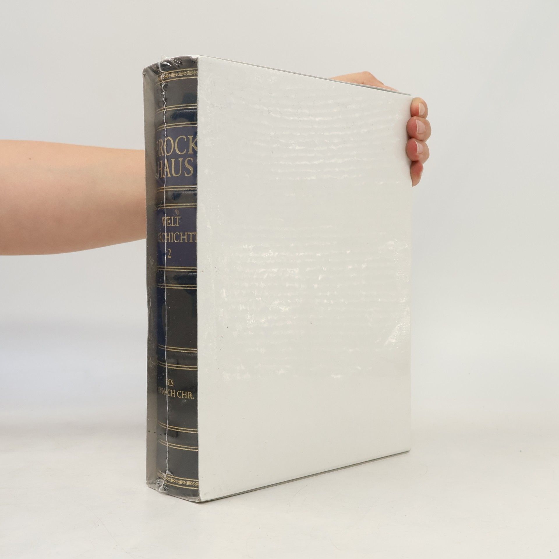 F. A. Brockhaus Brockhaus. Weltgeschichte 2