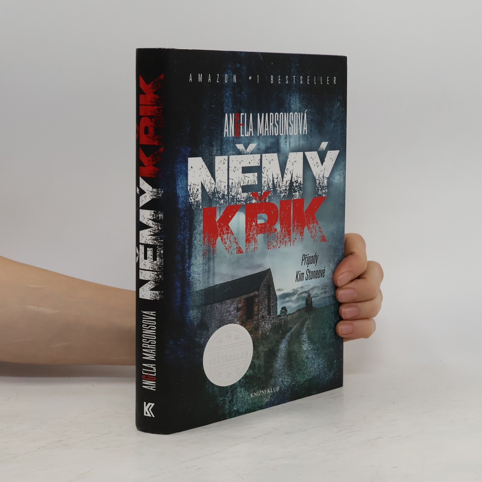 Angela Marsons Němý křik