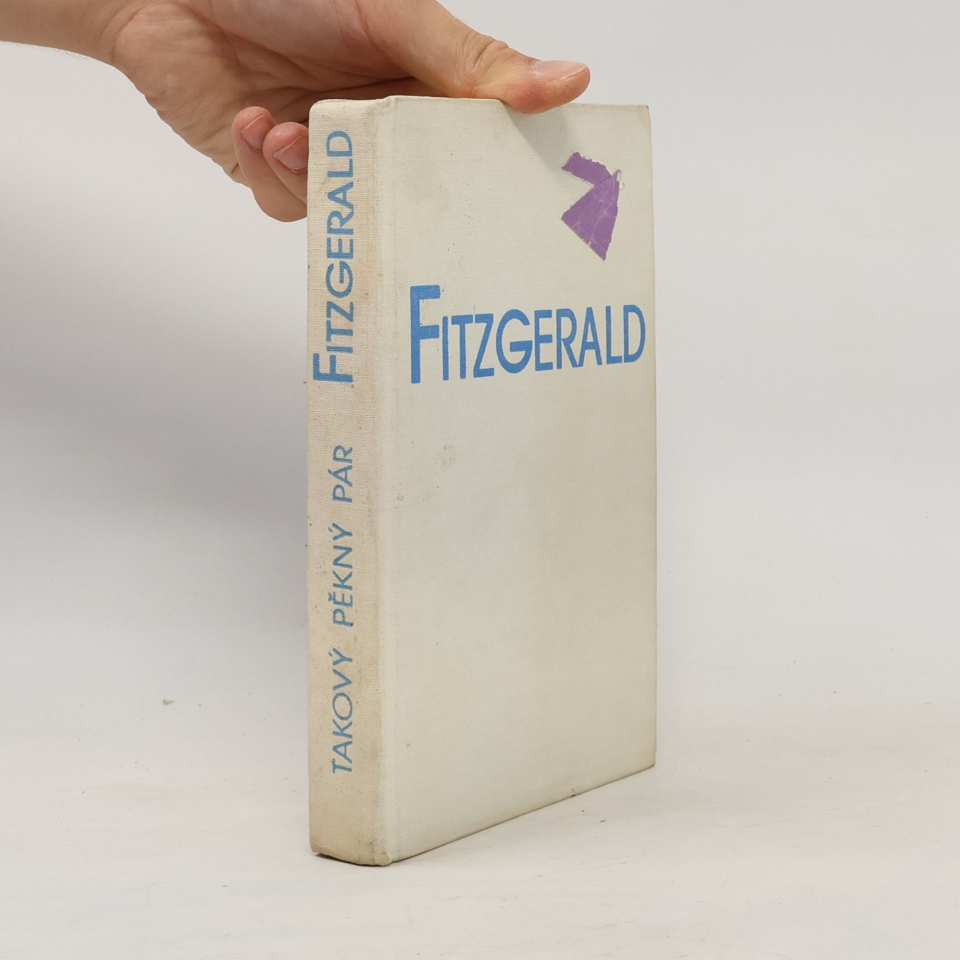 Francis Scott Fitzgerald Takový pěkný pár