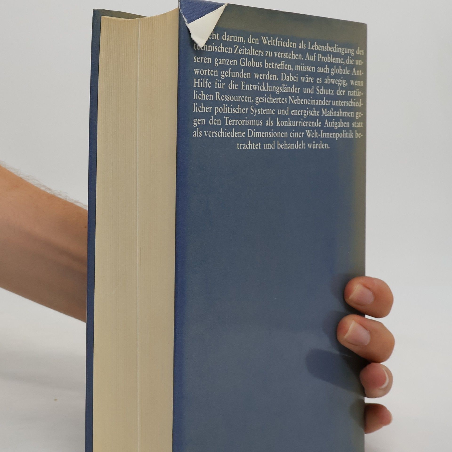 Willy Brandt Begegnungen und Einsichten