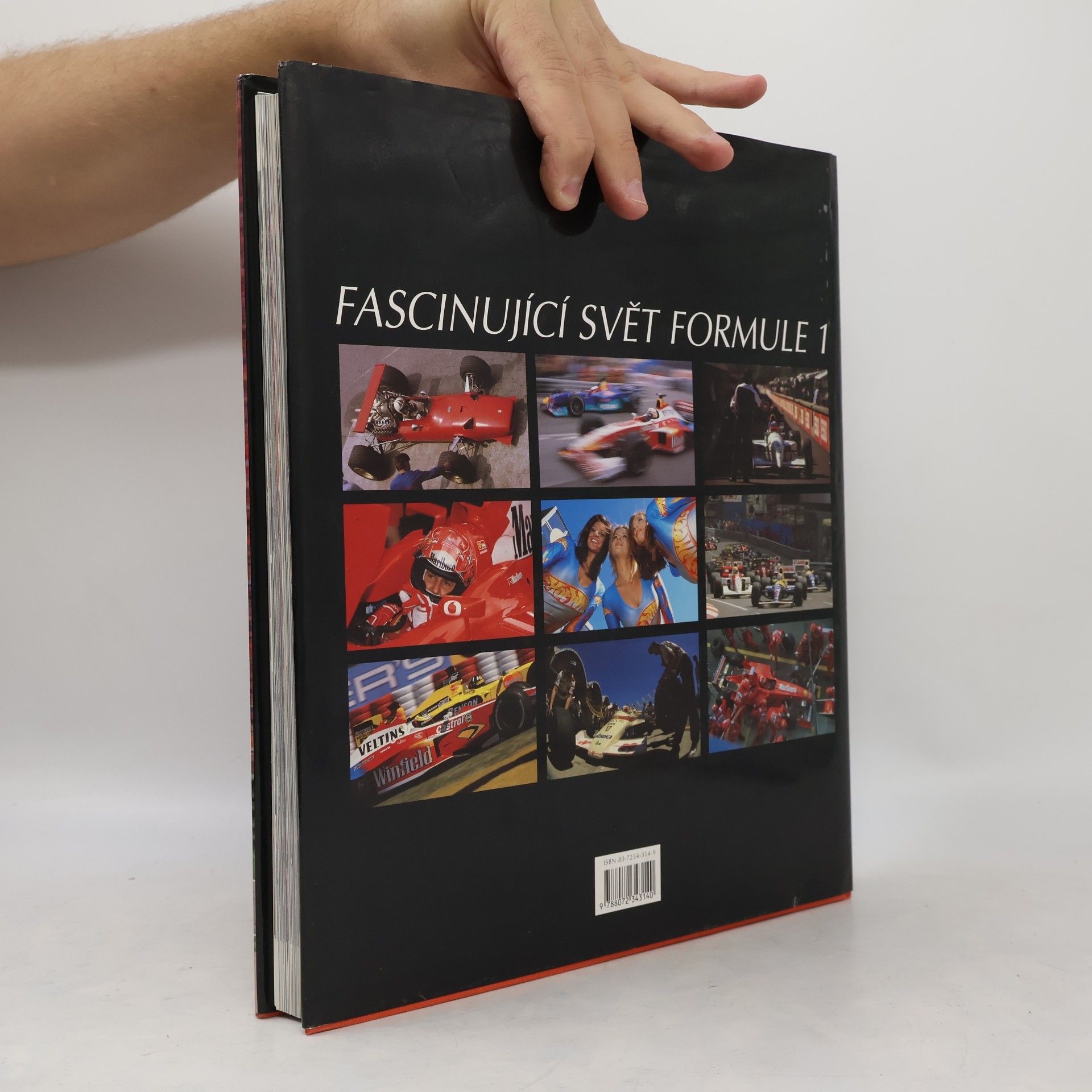Paolo D'Alessio Fascinující svět Formule 1