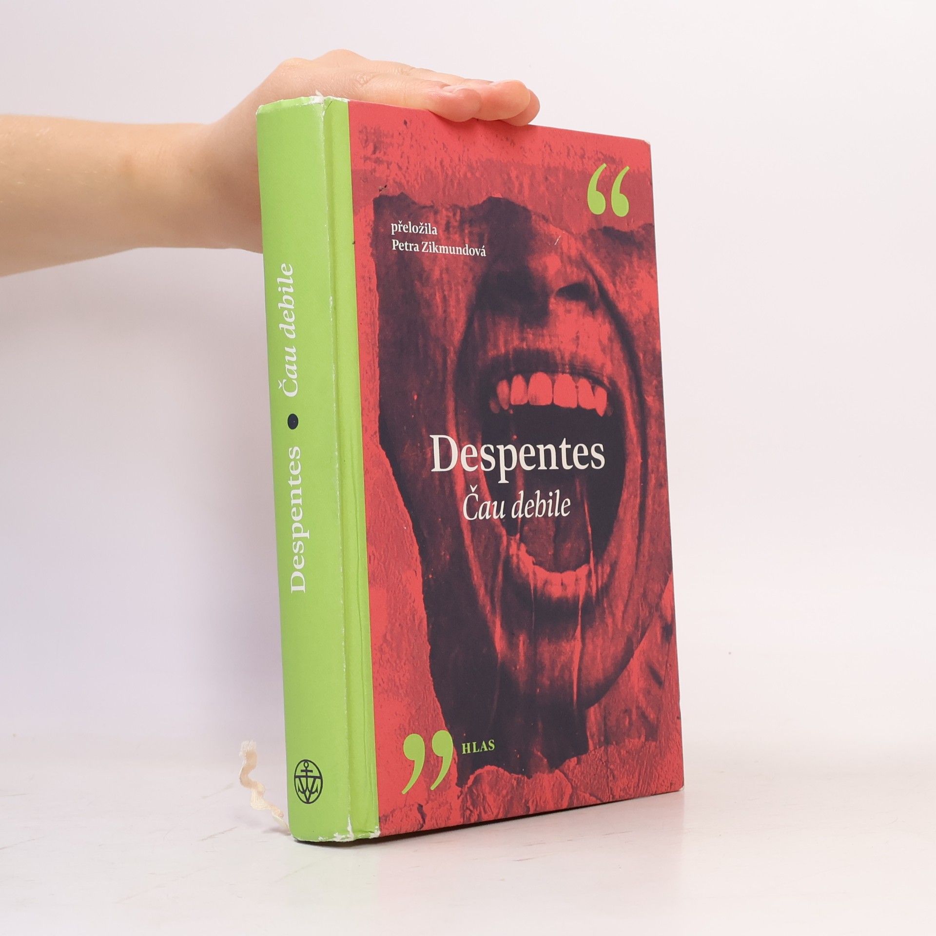 Virginie Despentes Čau debile