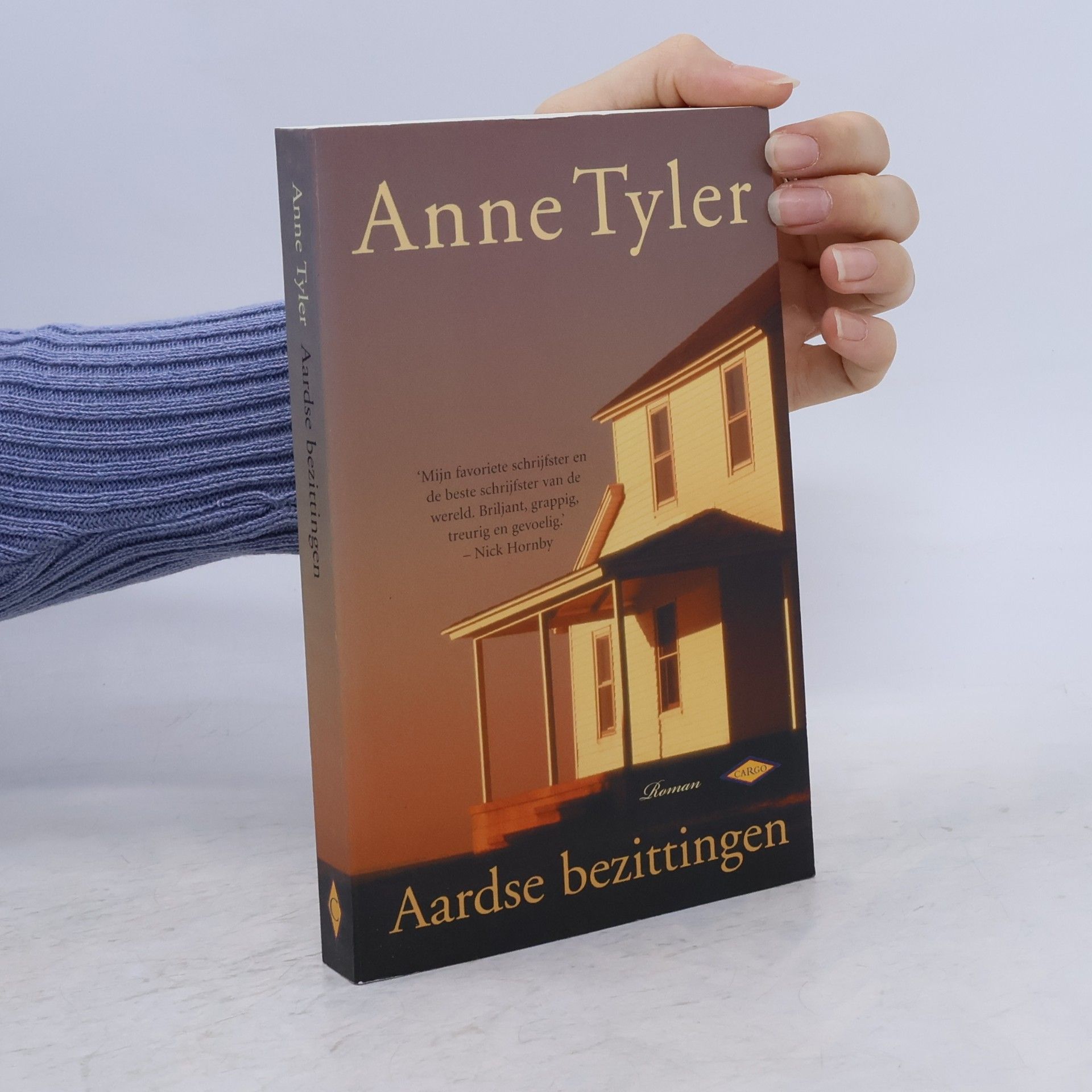 Aardse bezittingen