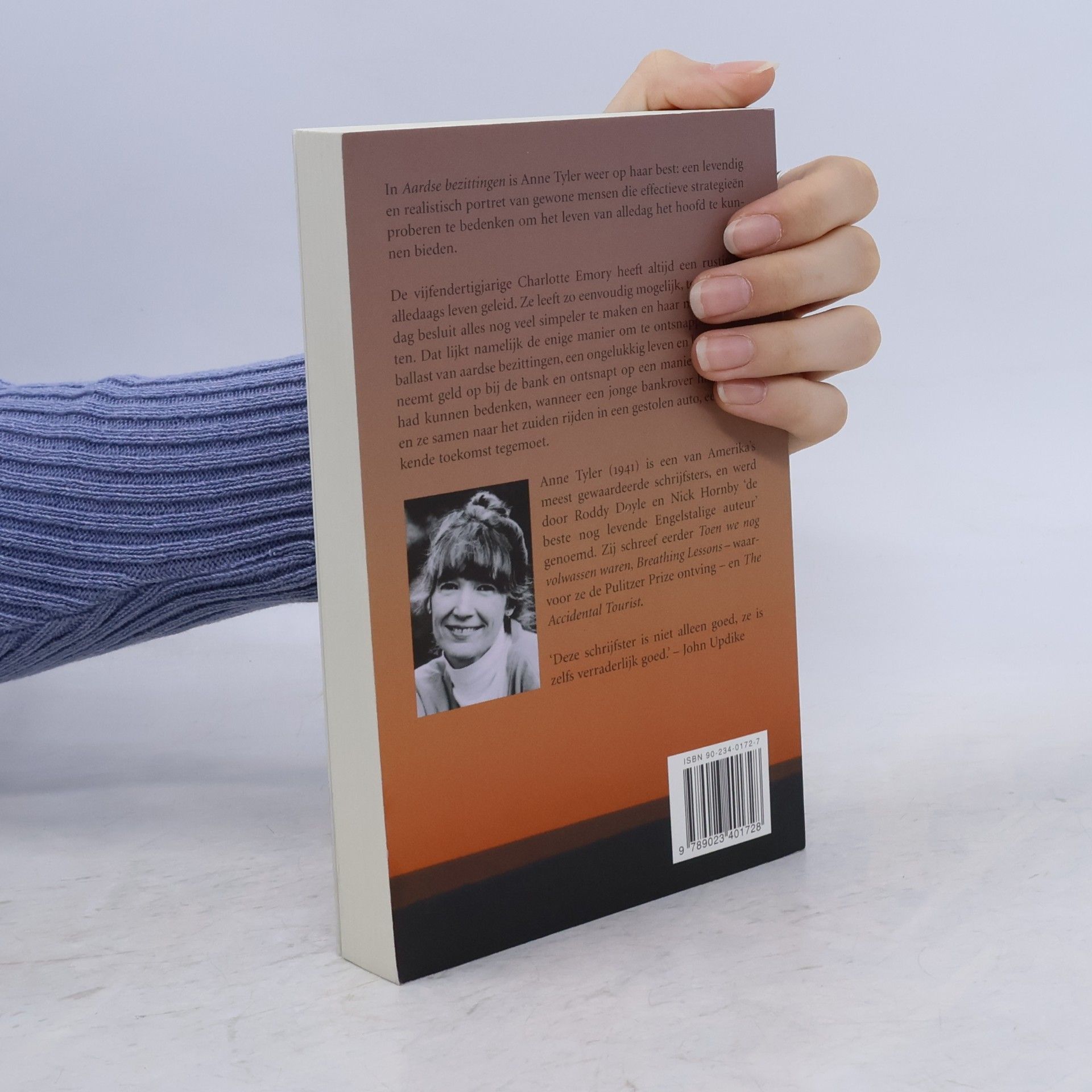 Anne Tyler Aardse bezittingen