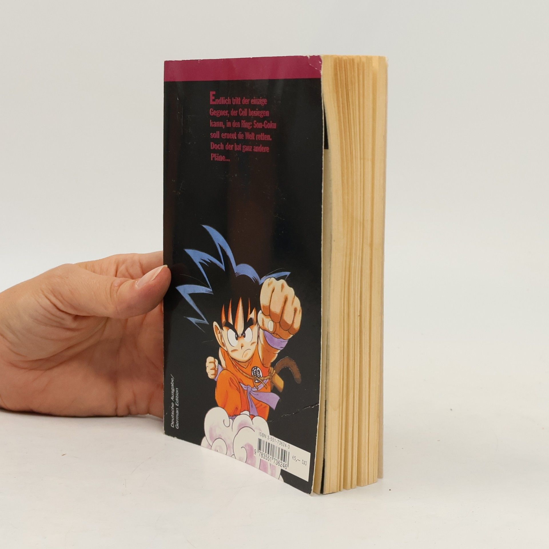 Akira Toriyama Dragon Ball 34
